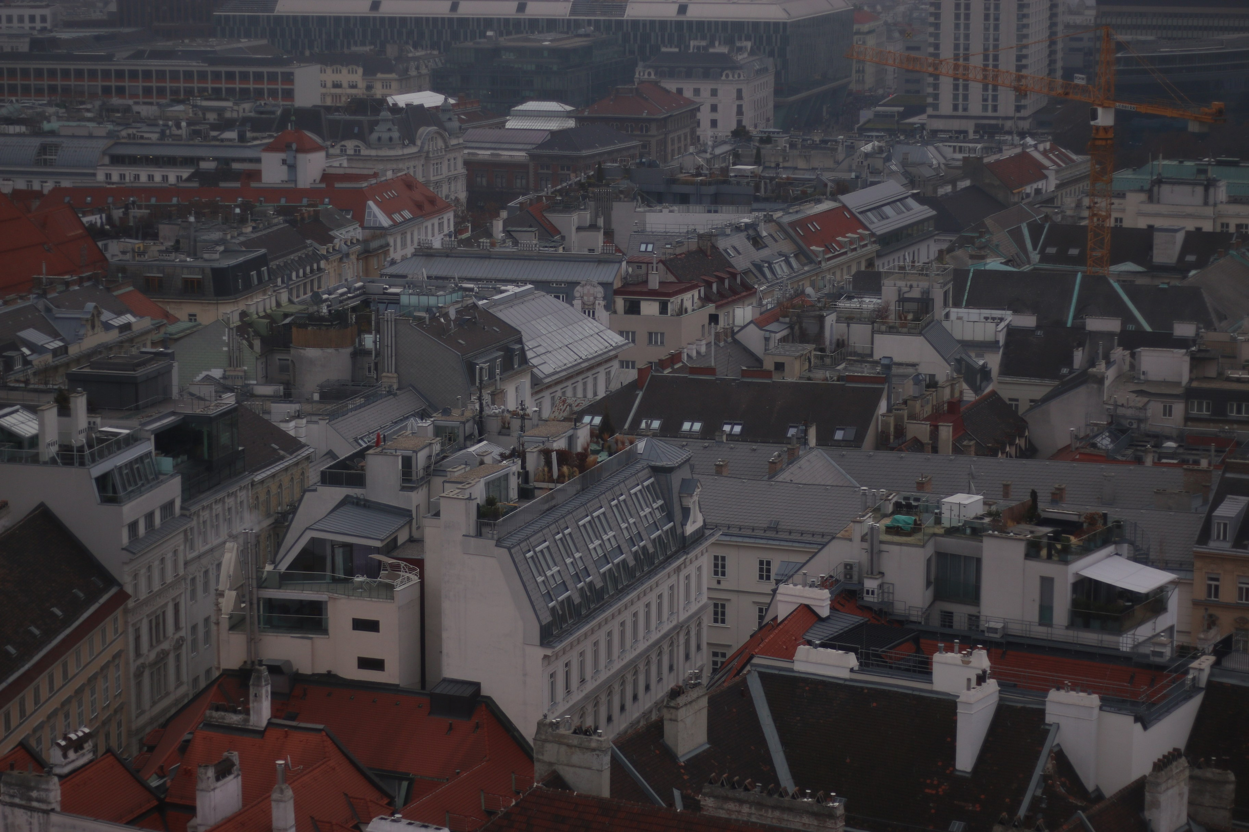 Vienna, Dec.19. Kseny Kolesnik Photography