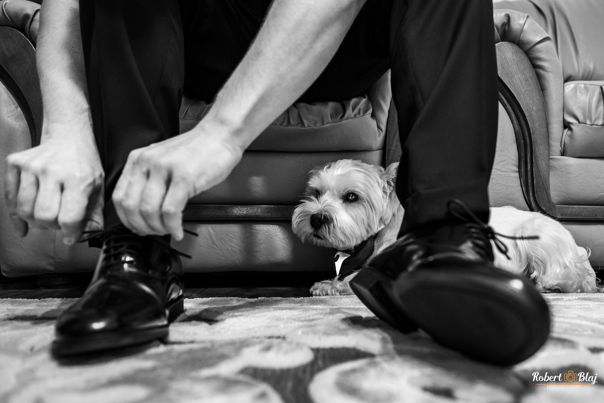 Cel mai bun fotograf din Iași. Robert Blaj - Fotograf Nuntă Iași