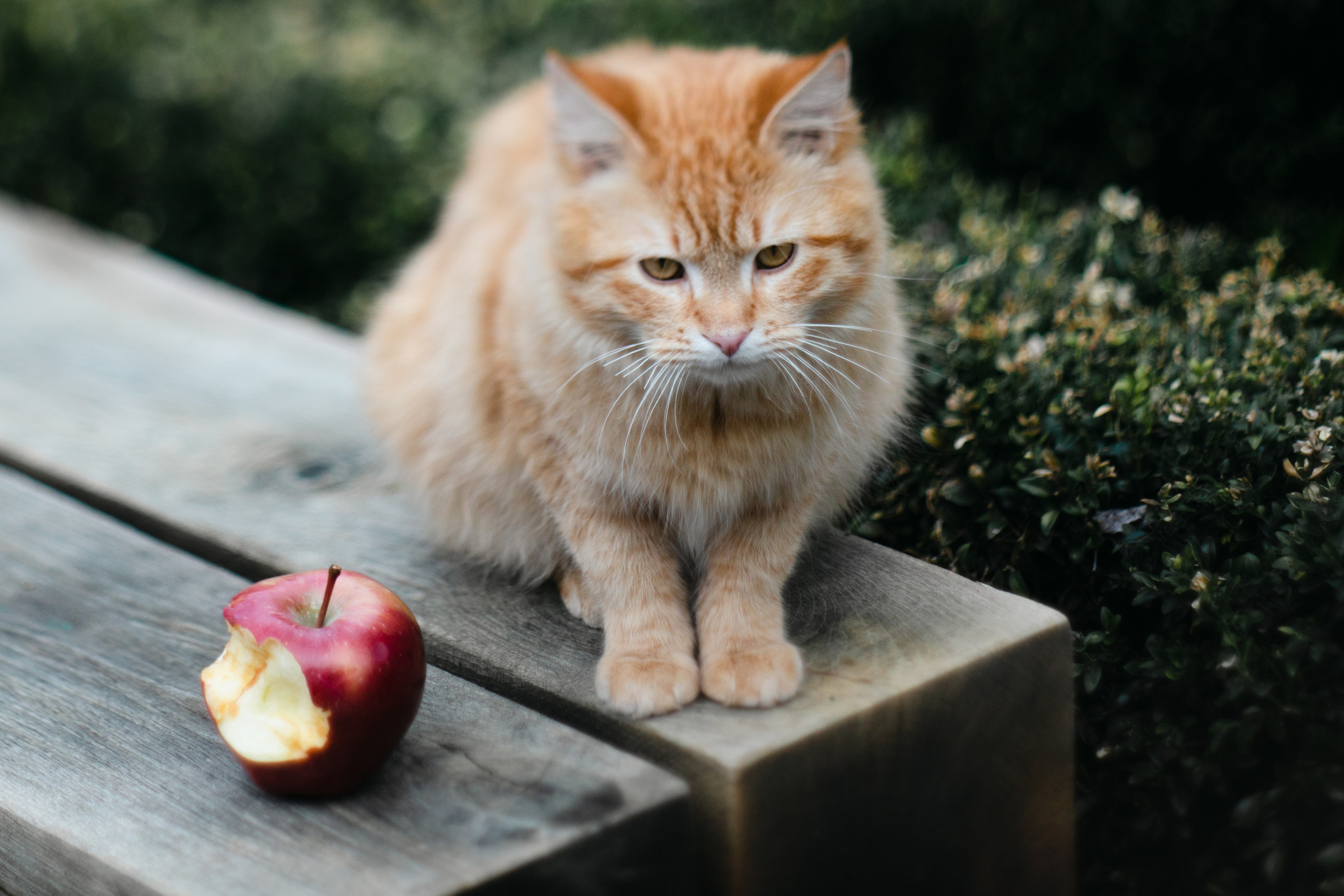 Elina. Sandra Garanca Portrait and event photographer