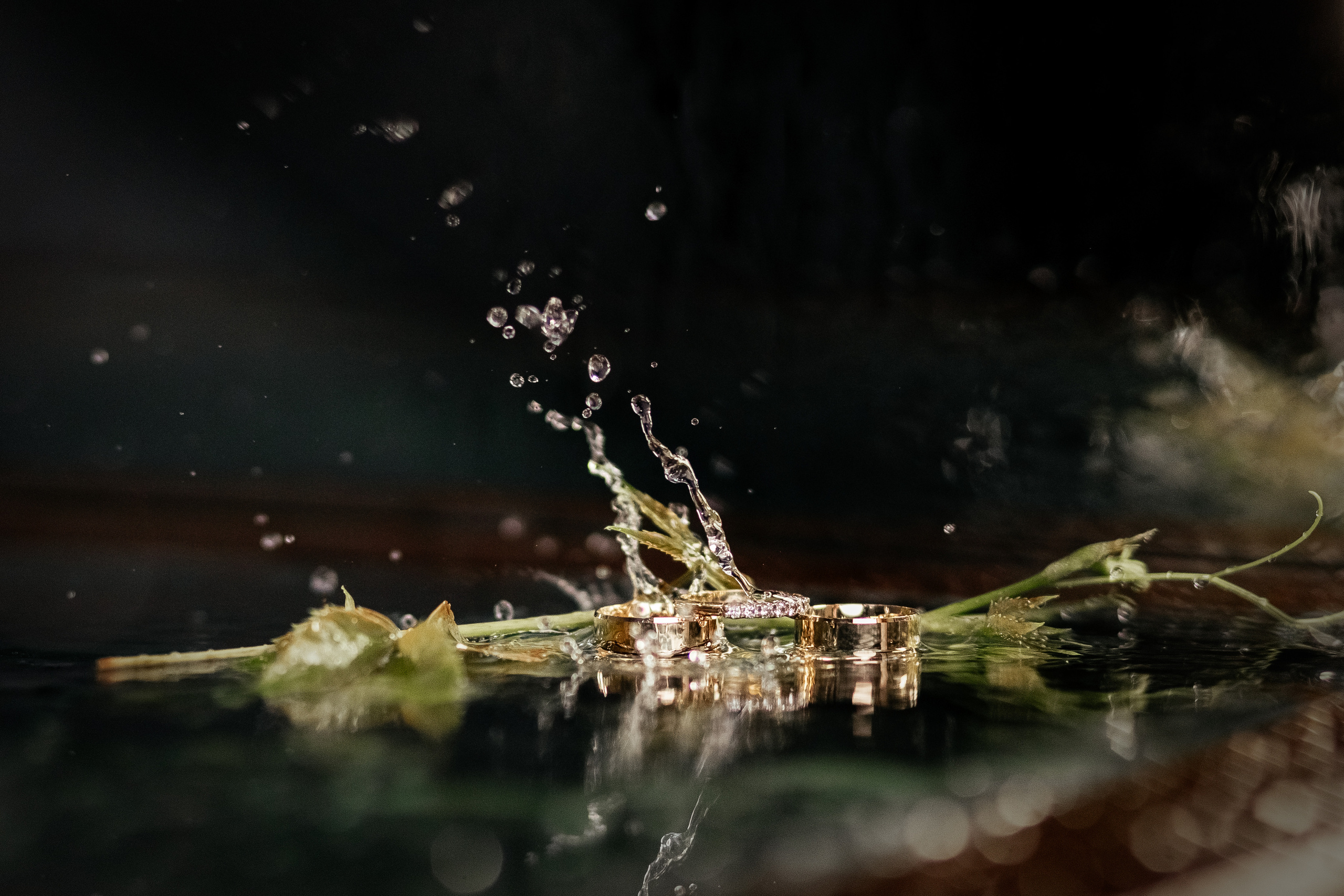 Love is in the air. Свадебный и семейный фотограф портретист в Украине Стоганенко Валерия