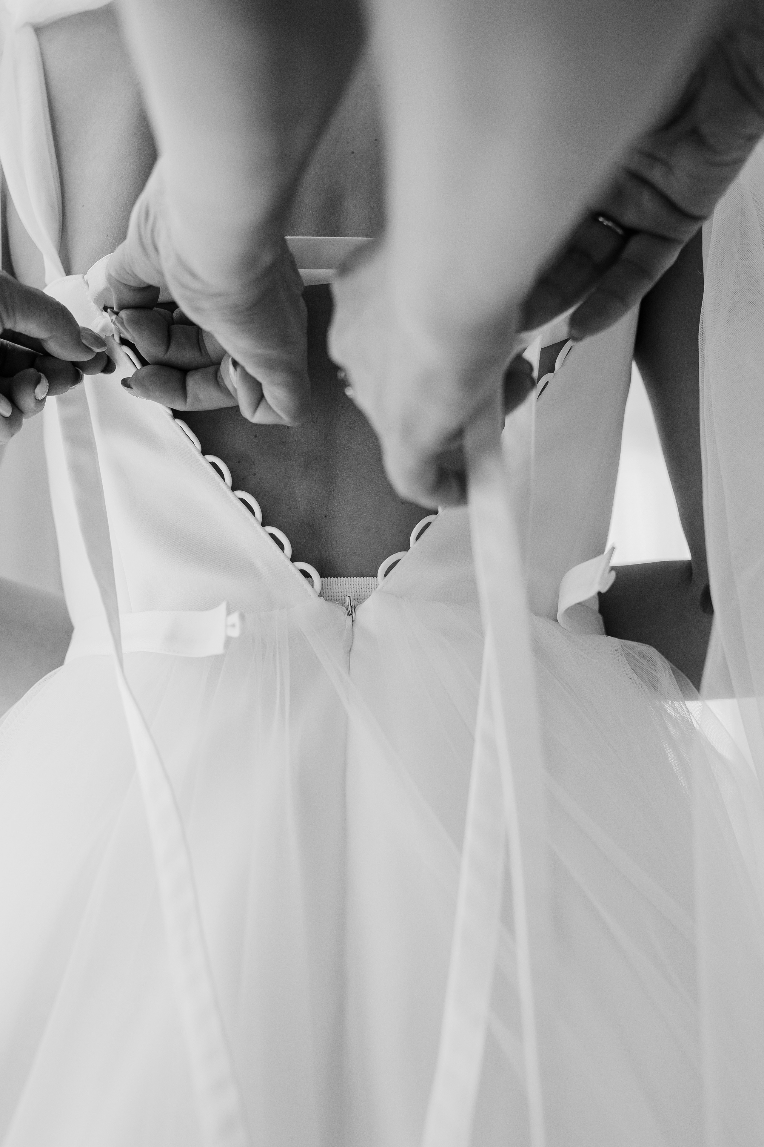 Love is in the air. Свадебный и семейный фотограф портретист в Украине Стоганенко Валерия