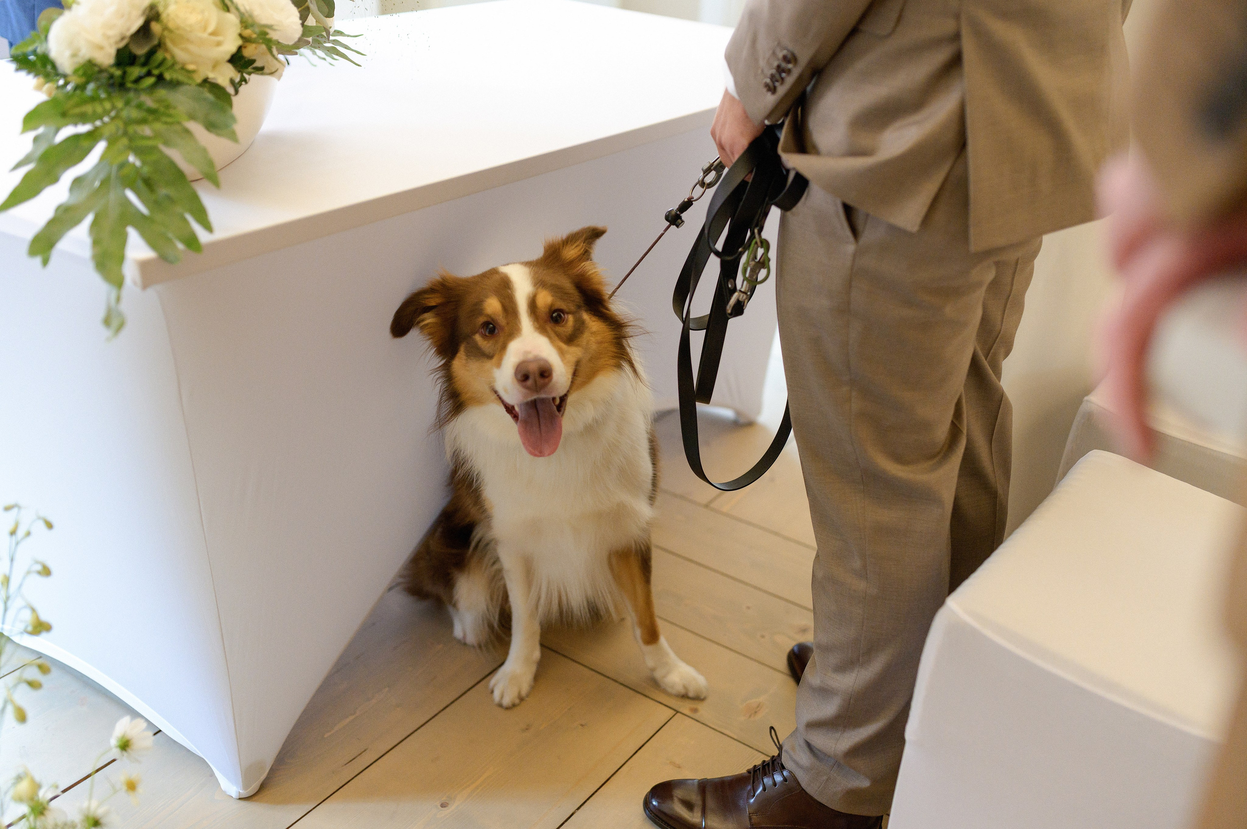 Szymon and Weronika, 2025. Wedding photographer in Wroclaw Warsaw Krakow Margarita Tuleiko