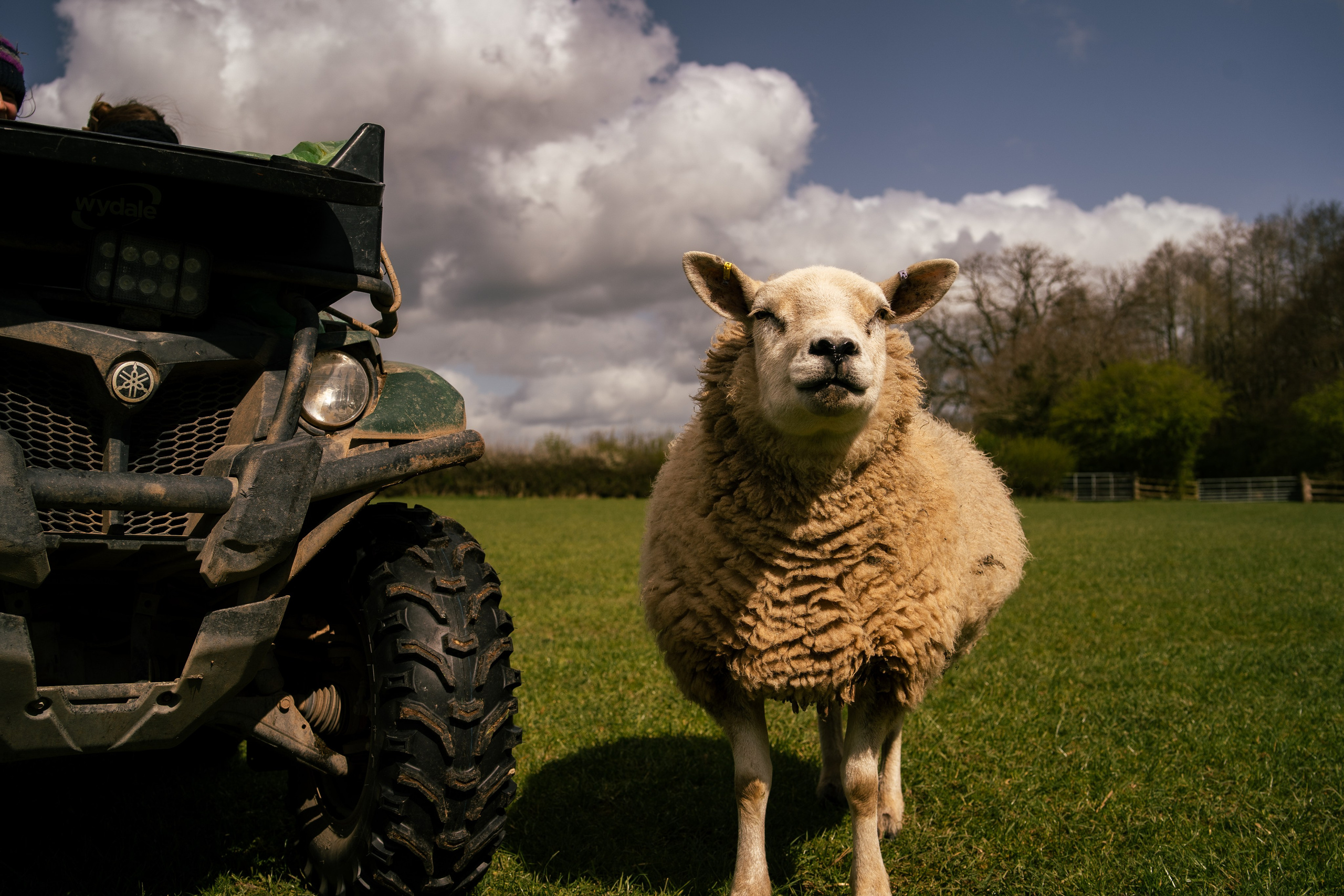 Farming. Ryan Hewitt Photographer