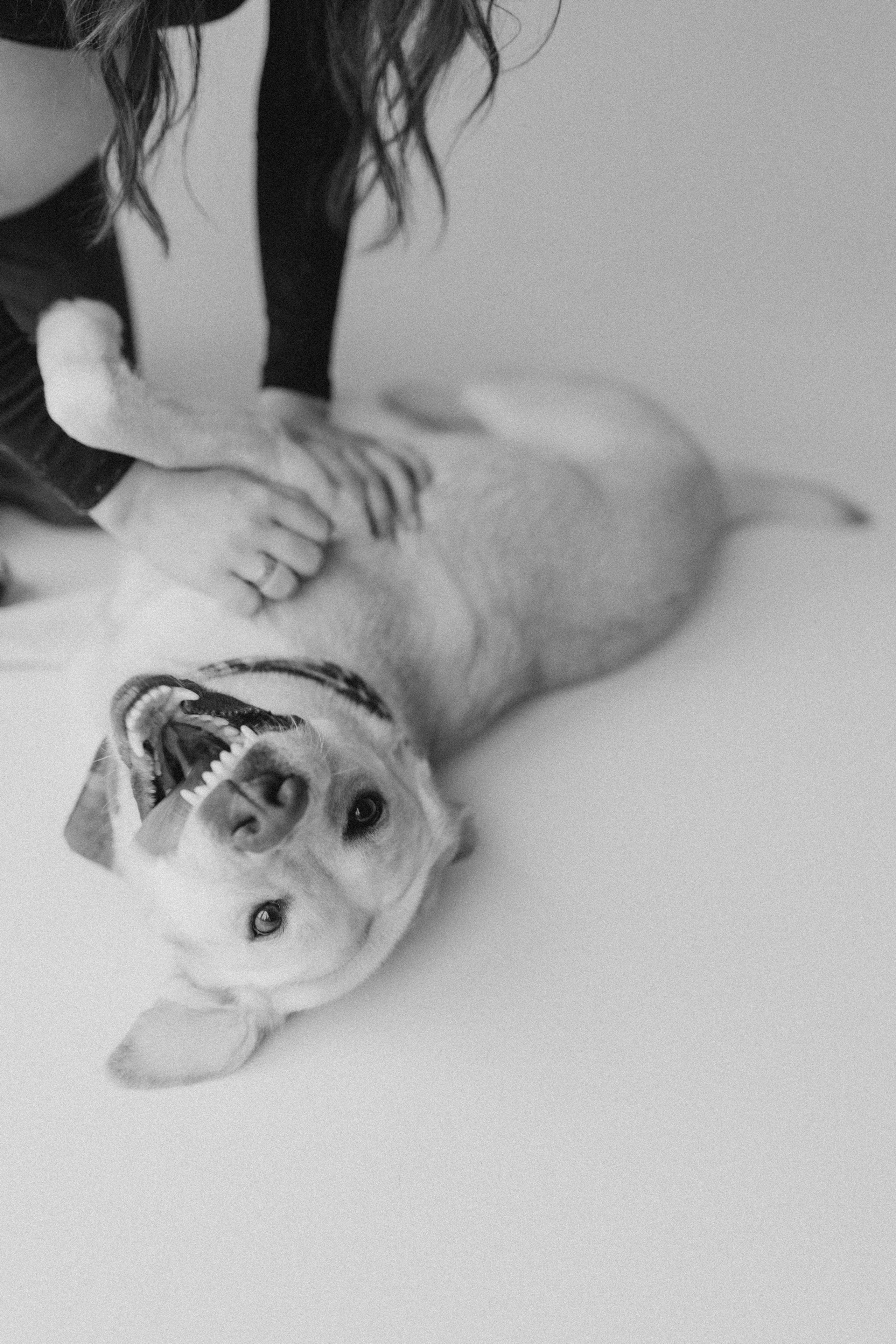 Pregnant Story. Main