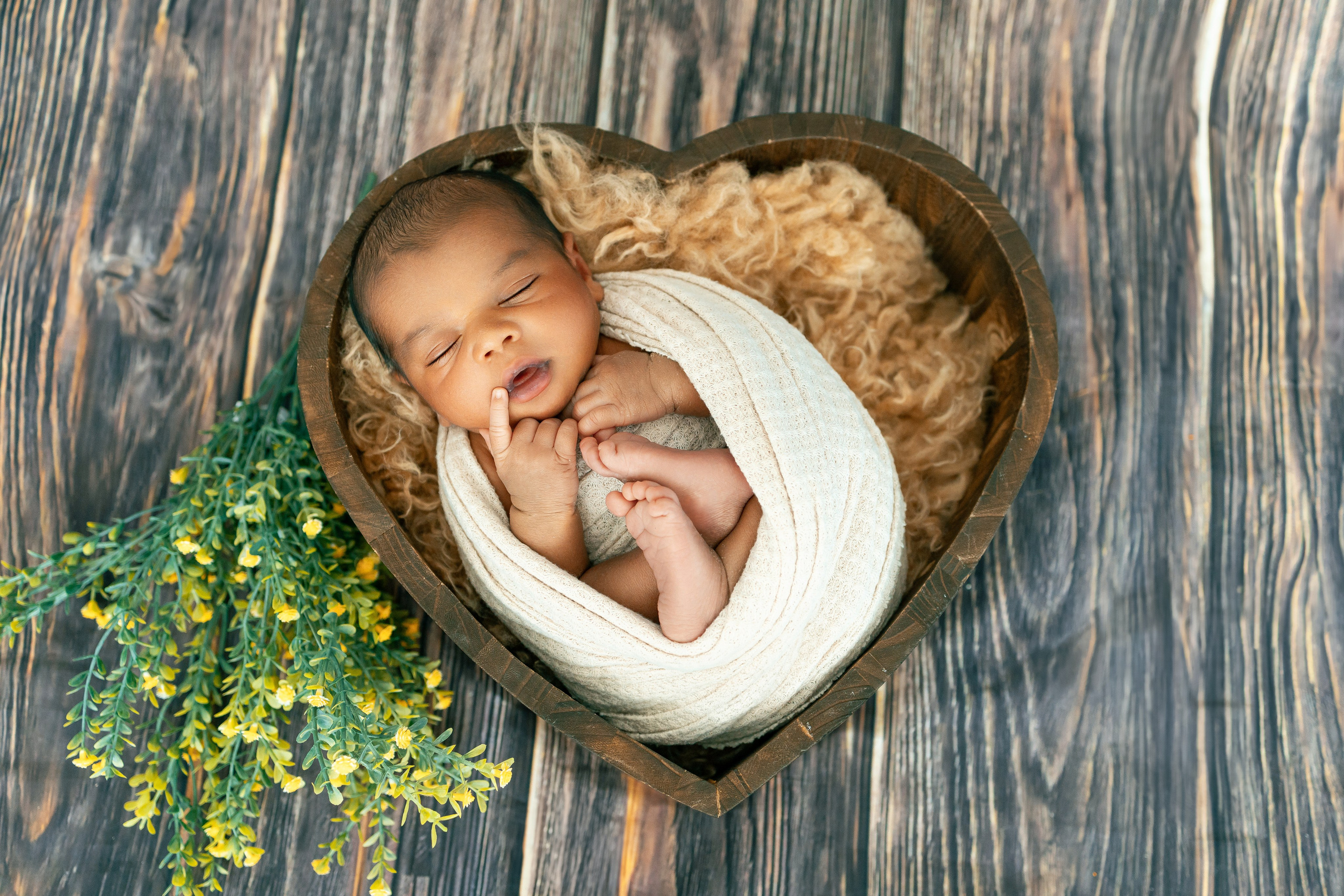 Newborn. Anaeliseevaphoto.com