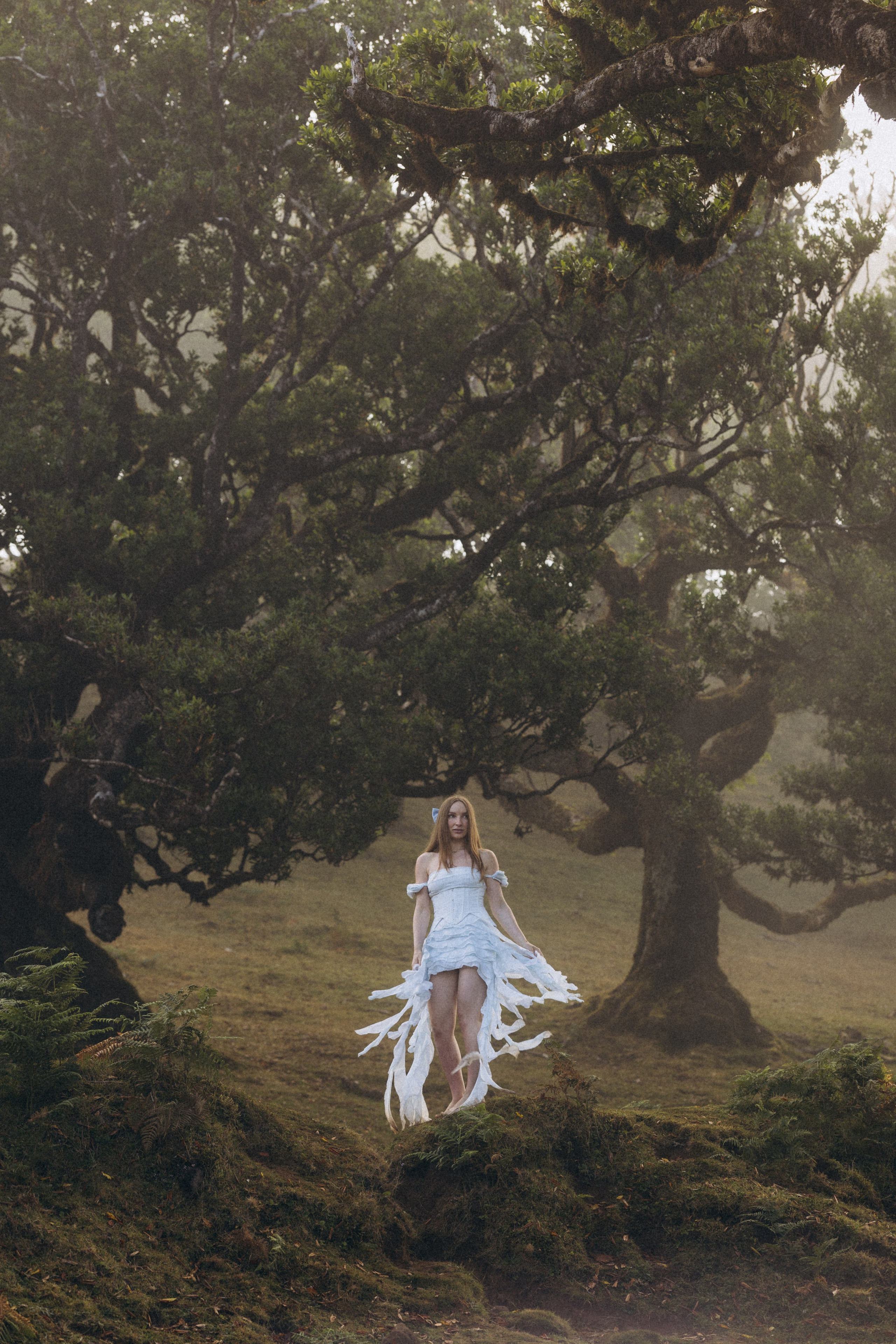 Solo Photoshoot in Fanal Forest, Madeira | Cinematic Portrait Photography. Fotógrafa na Madeira para casais, pedidos de casamento, elopements e casamentos íntimos | Tatiana