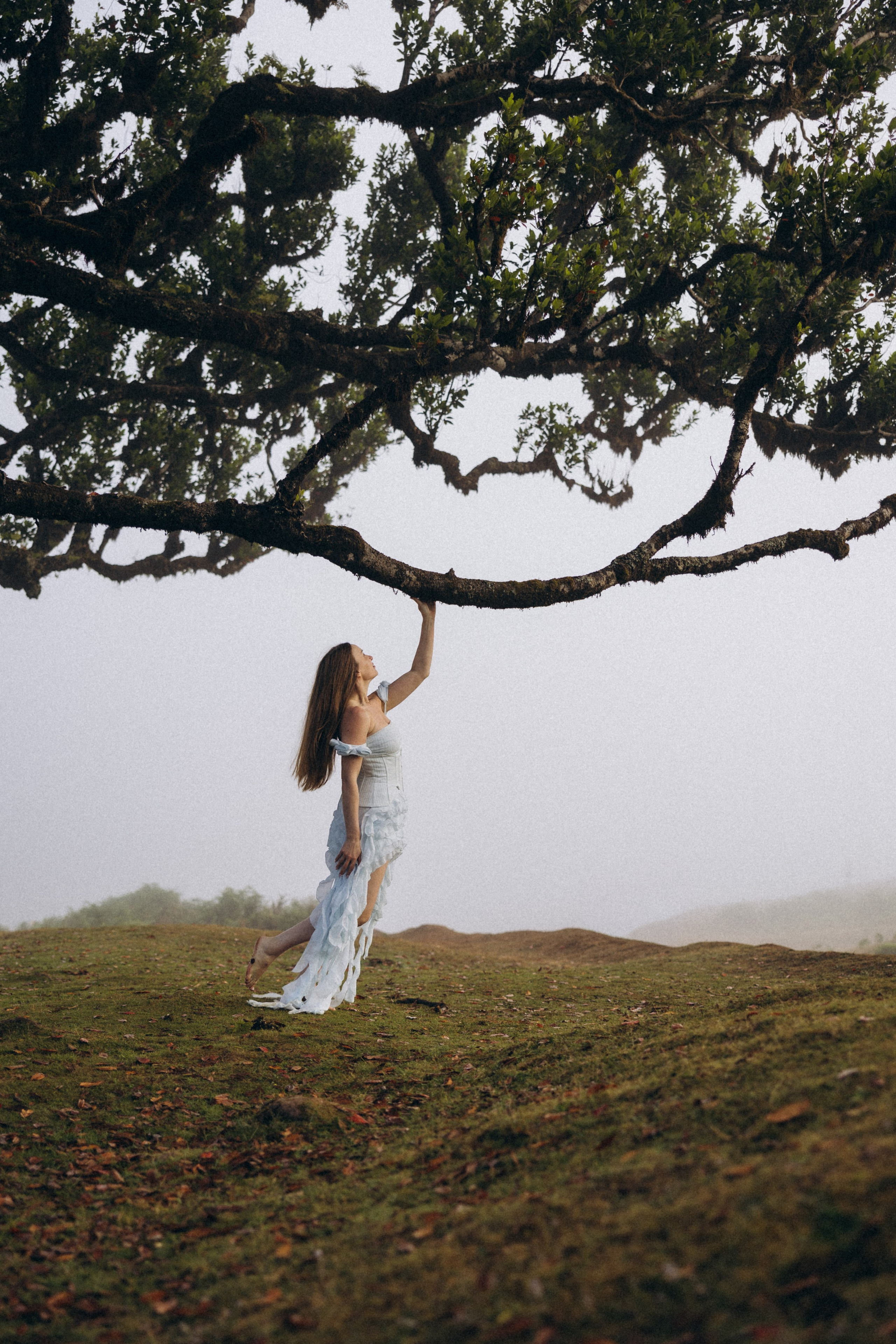 Solo Photoshoot in Fanal Forest, Madeira | Cinematic Portrait Photography. Fotógrafa na Madeira para casais, pedidos de casamento, elopements e casamentos íntimos | Tatiana