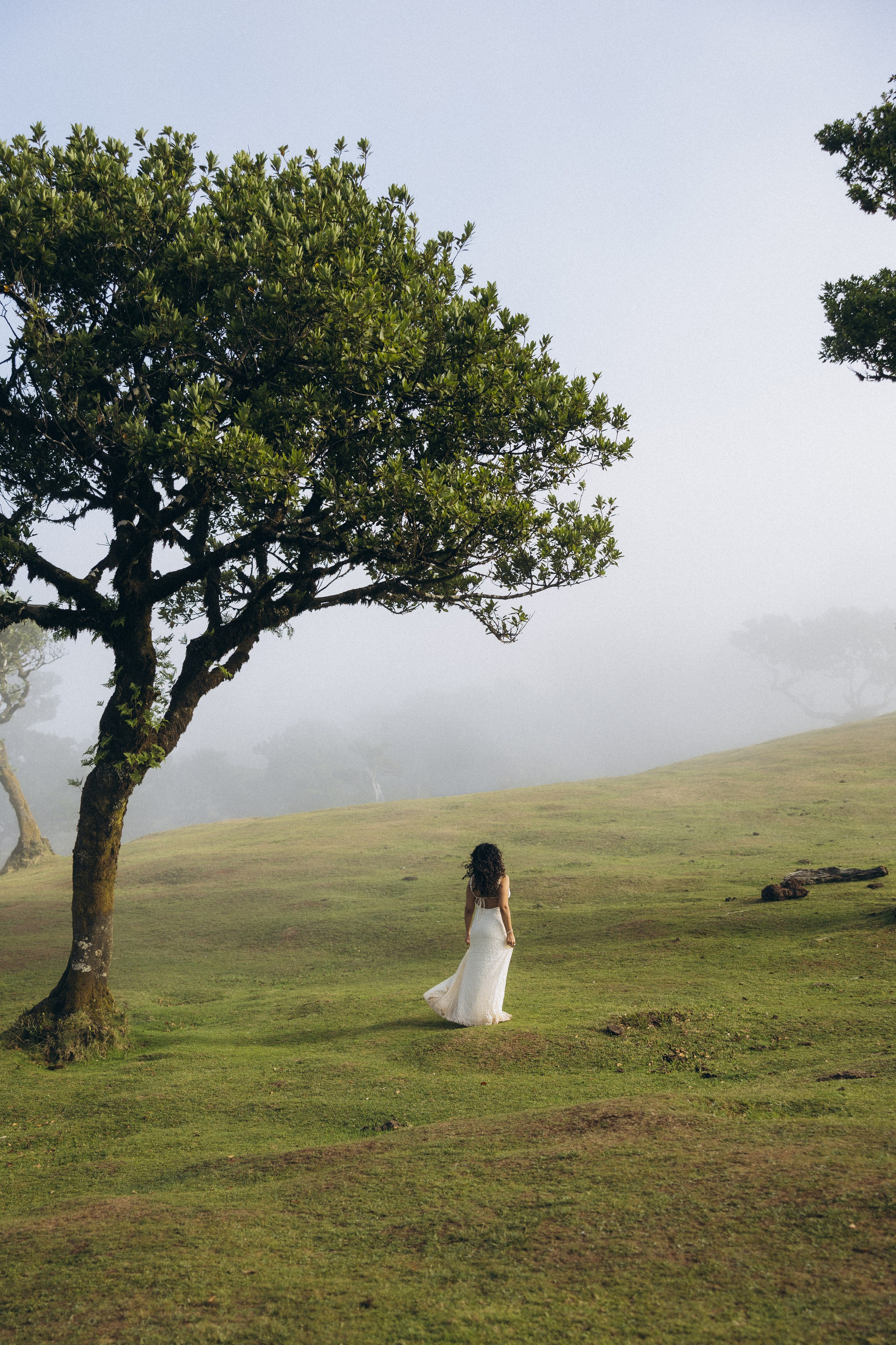 Solo Photoshoot in Foggy & Sunny Fanal Forest, Madeira | Portrait Photography
