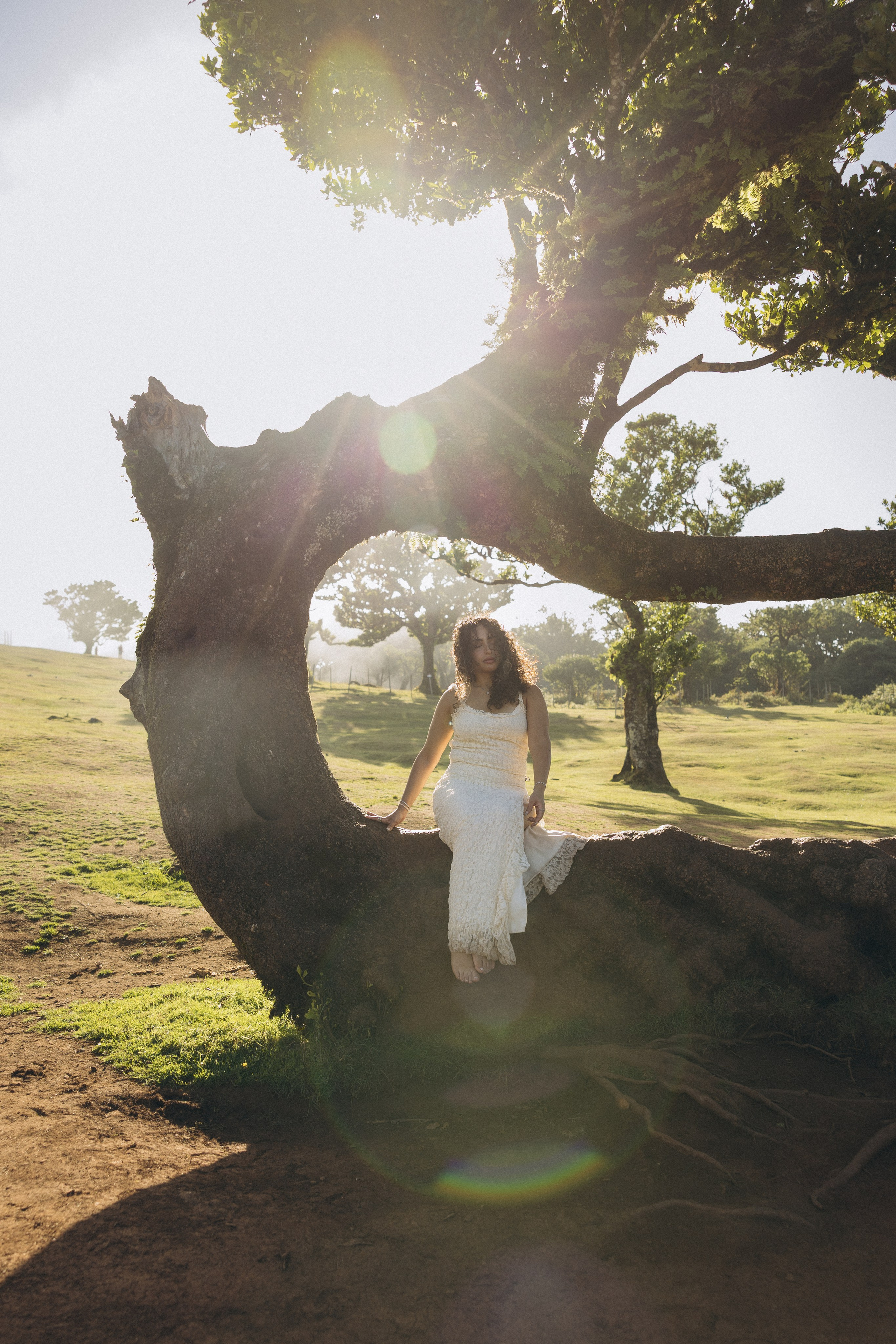 Solo Photoshoot in Foggy & Sunny Fanal Forest, Madeira | Portrait Photography