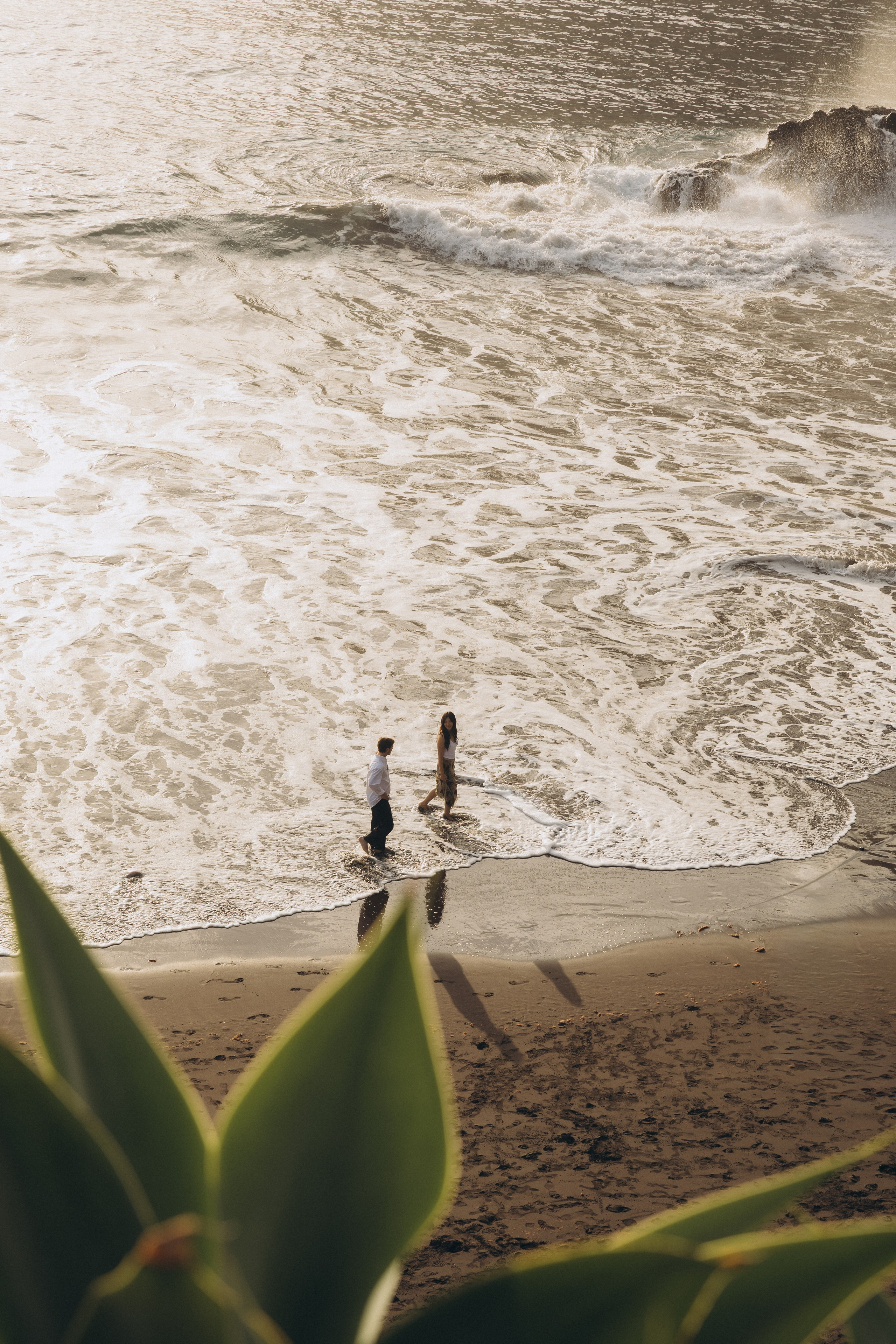 Secret Proposal at Seixal Beach, Madeira | Sunrise Proposal Photography