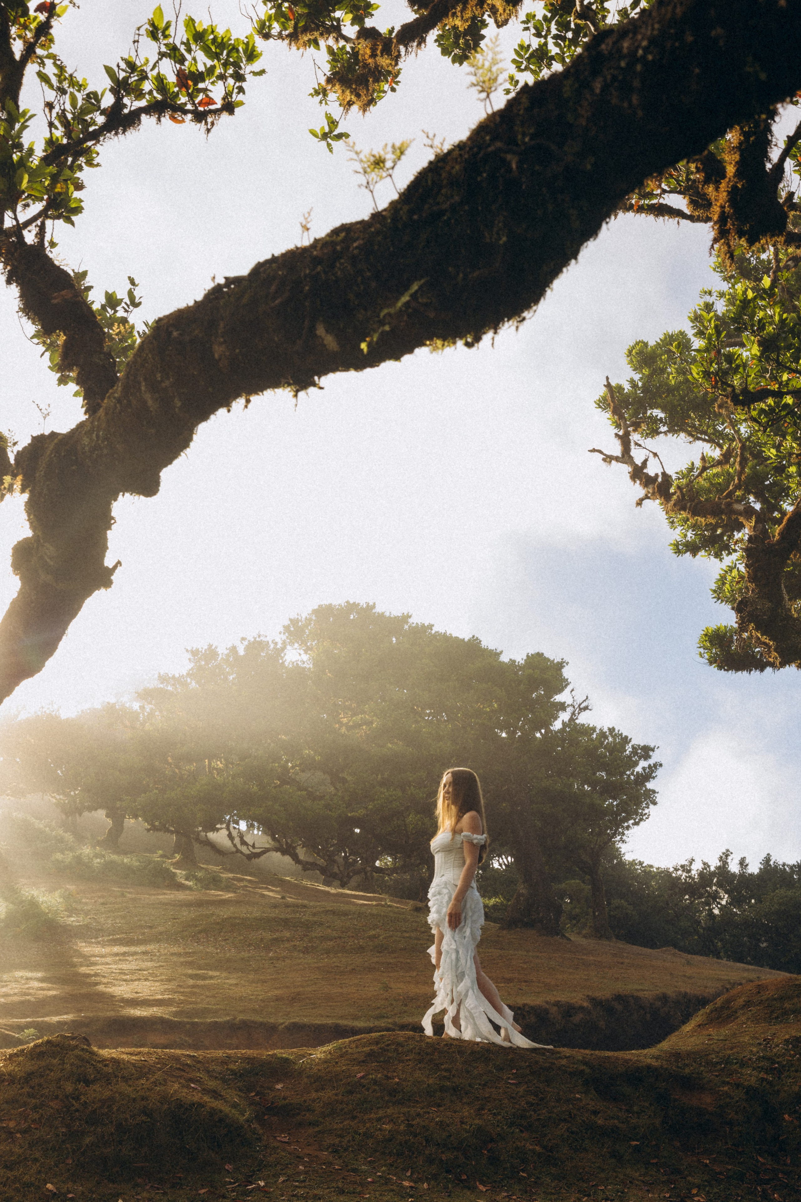 Solo Photoshoot in Fanal Forest, Madeira | Cinematic Portrait Photography. Fotógrafa na Madeira para casais, pedidos de casamento, elopements e casamentos íntimos | Tatiana