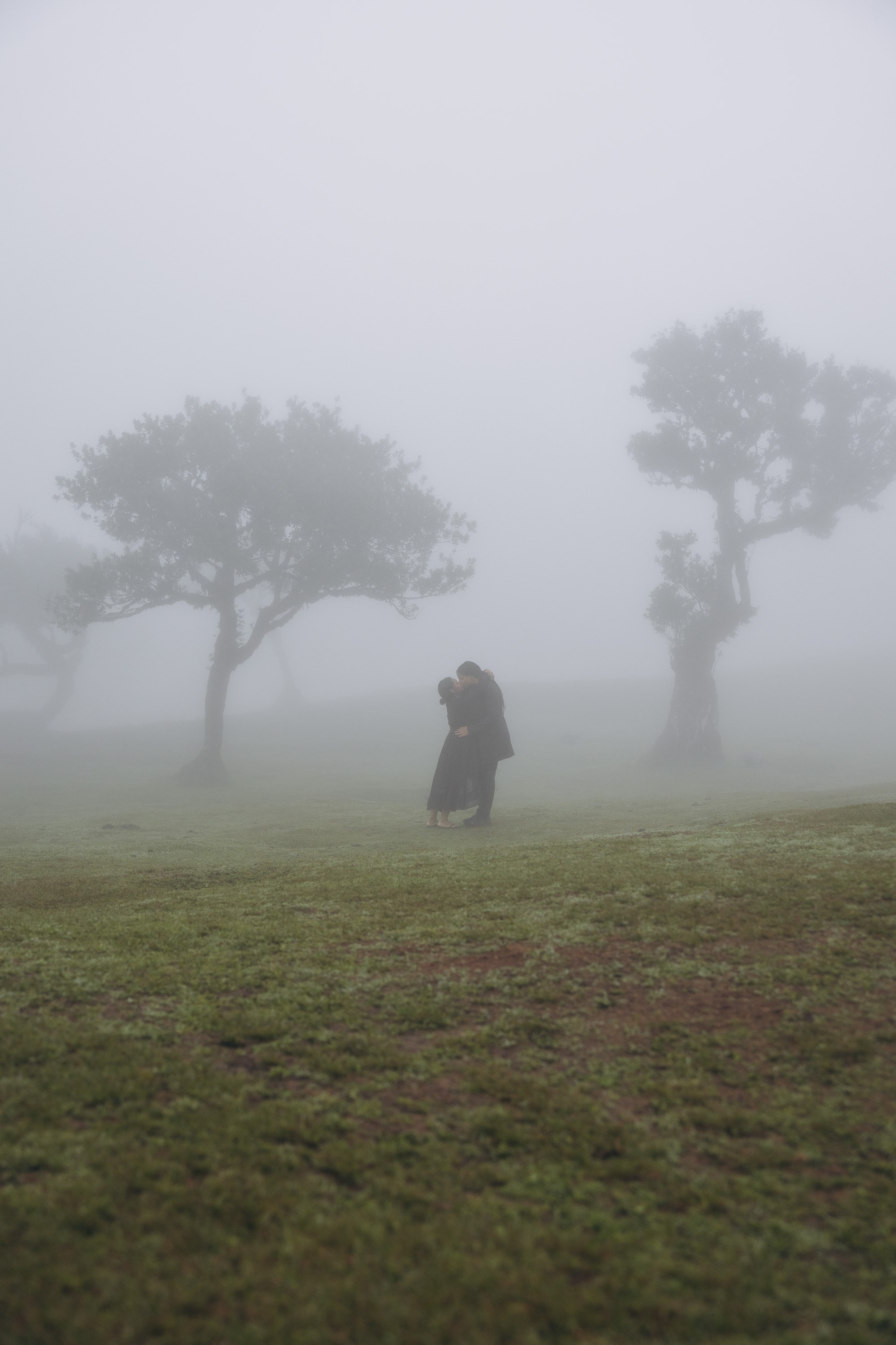 Couple Photoshoot in Foggy Fanal Forest, Madeira | Romantic Photography