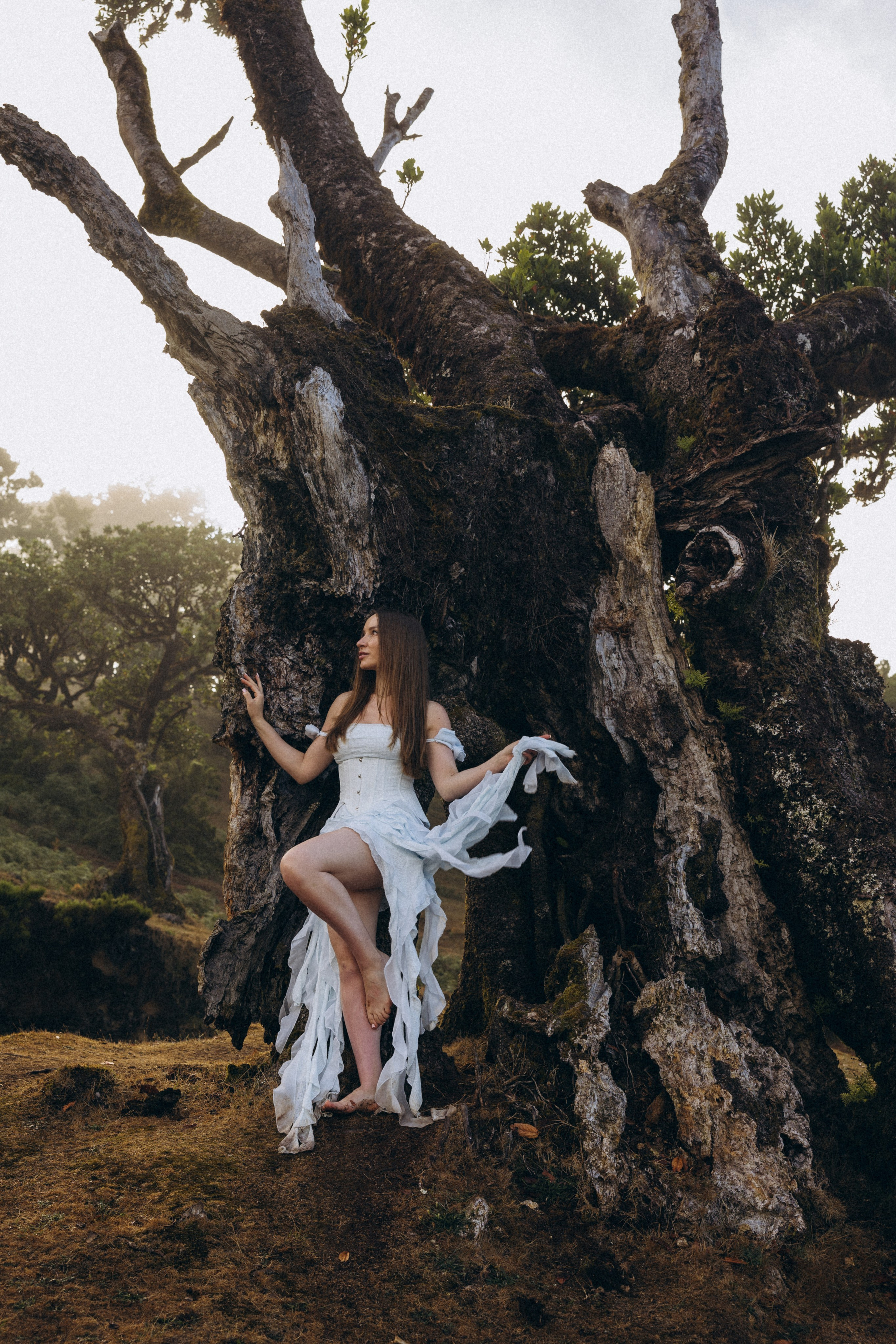 Solo Photoshoot in Fanal Forest, Madeira | Cinematic Portrait Photography. Fotógrafa na Madeira para casais, pedidos de casamento, elopements e casamentos íntimos | Tatiana
