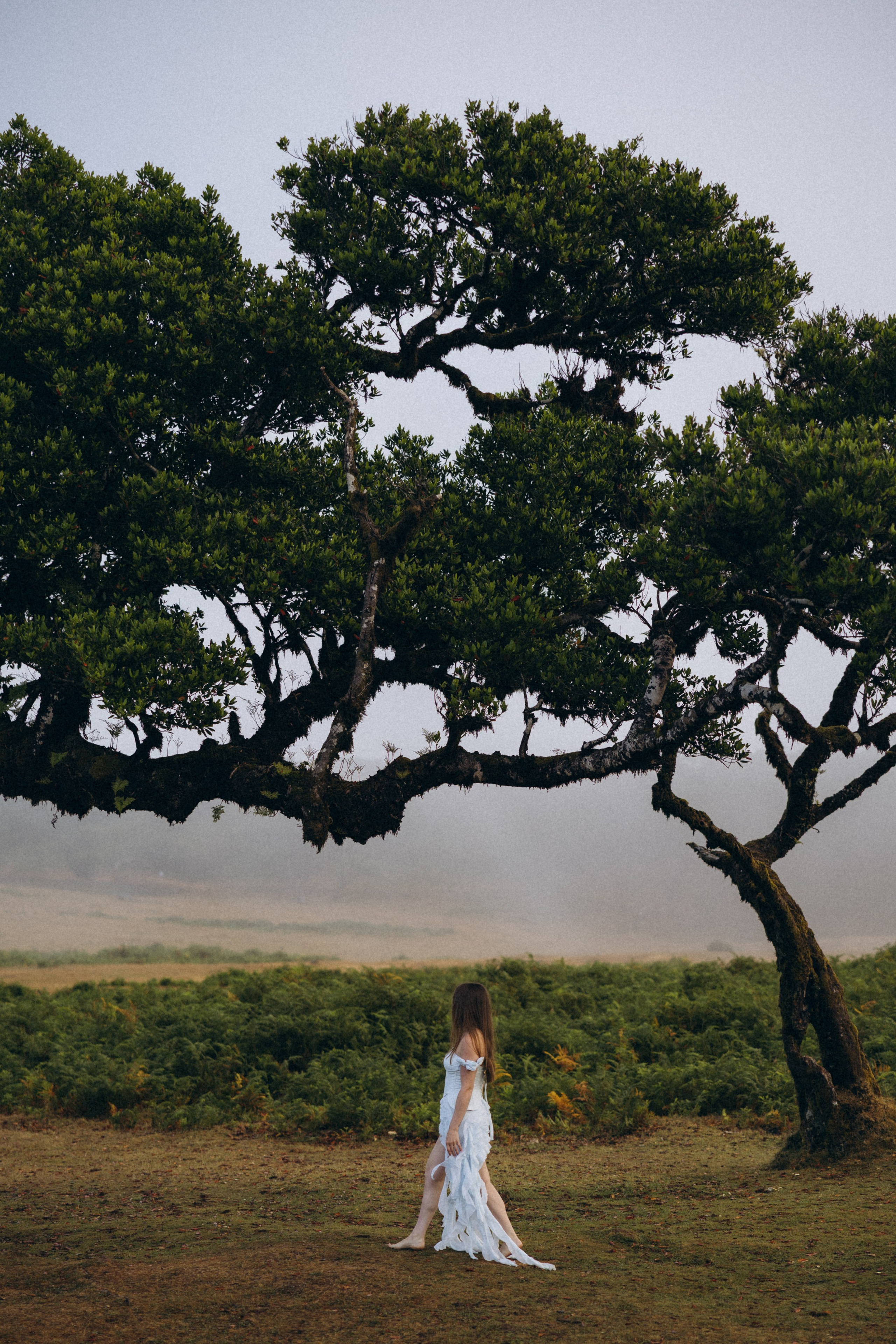 Solo Photoshoot in Fanal Forest, Madeira | Cinematic Portrait Photography. Fotógrafa na Madeira para casais, pedidos de casamento, elopements e casamentos íntimos | Tatiana