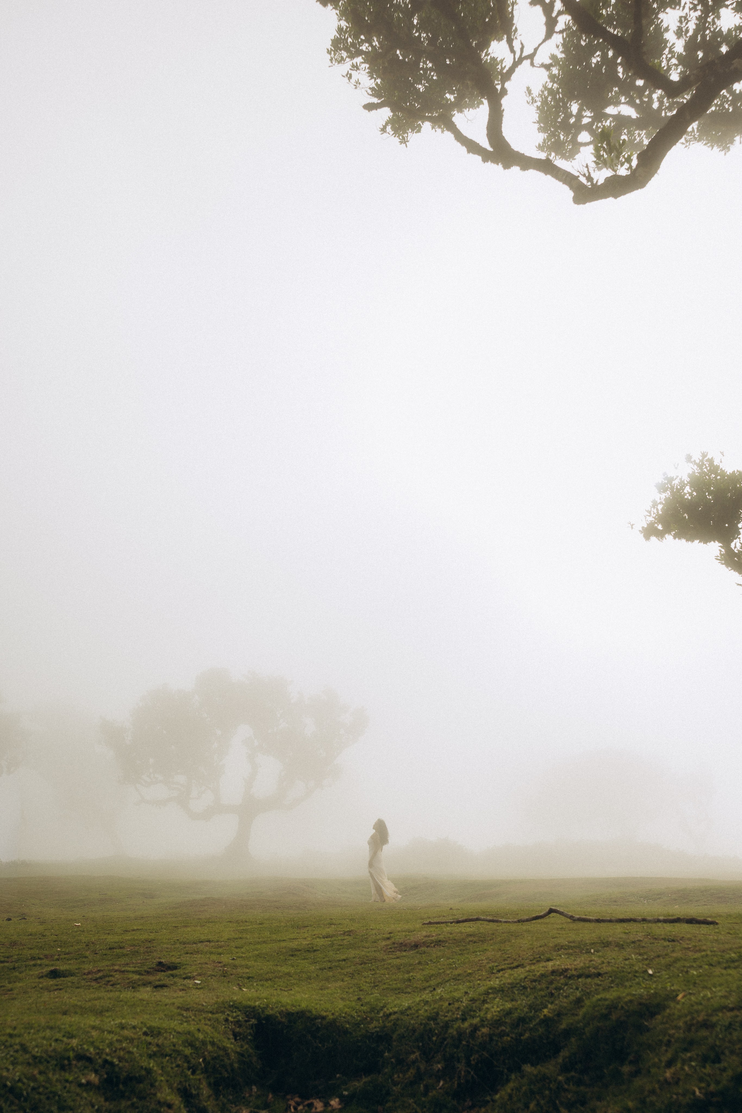 Solo Photoshoot in Foggy & Sunny Fanal Forest, Madeira | Portrait Photography