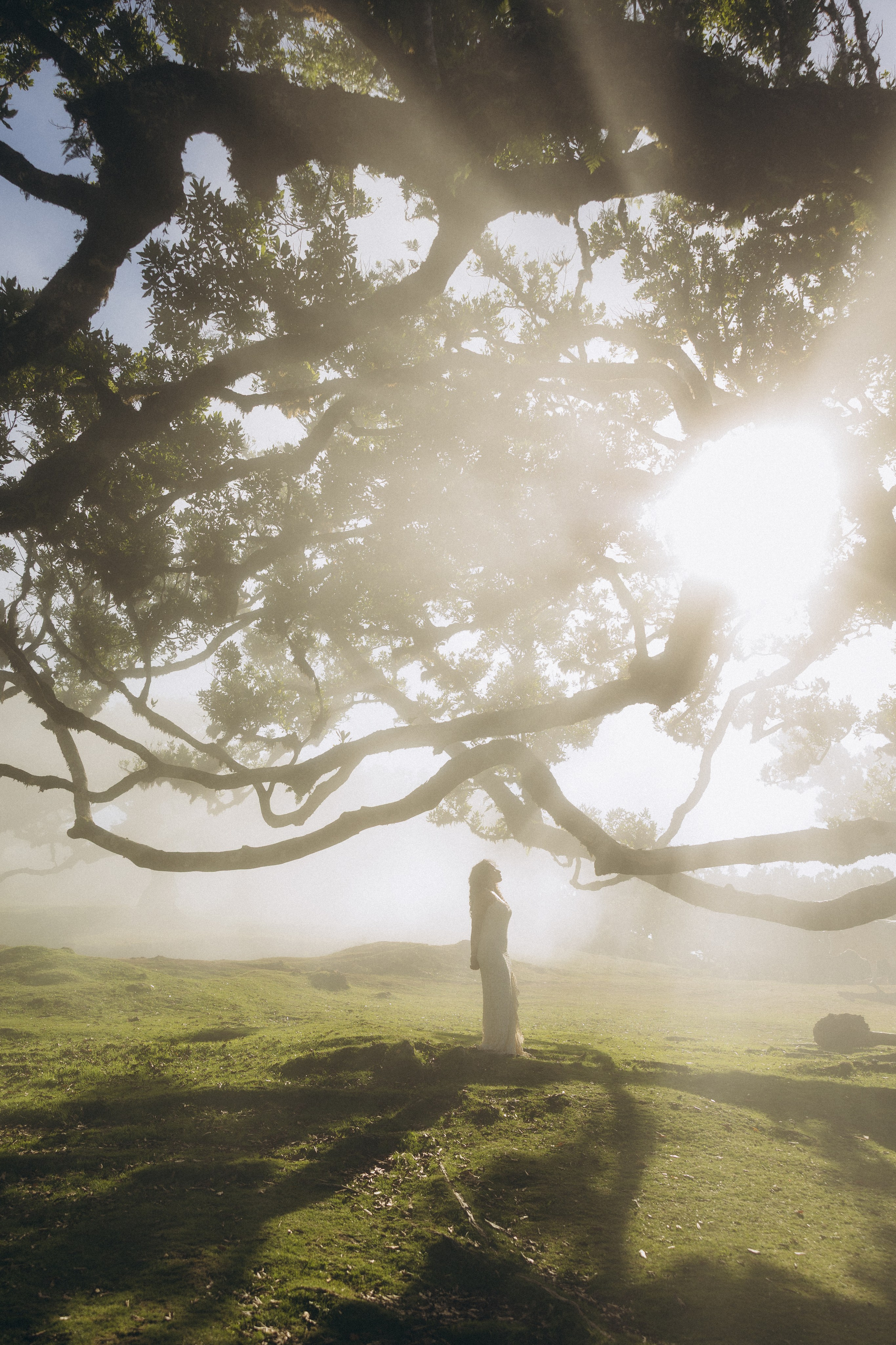 Solo Photoshoot in Foggy & Sunny Fanal Forest, Madeira | Portrait Photography