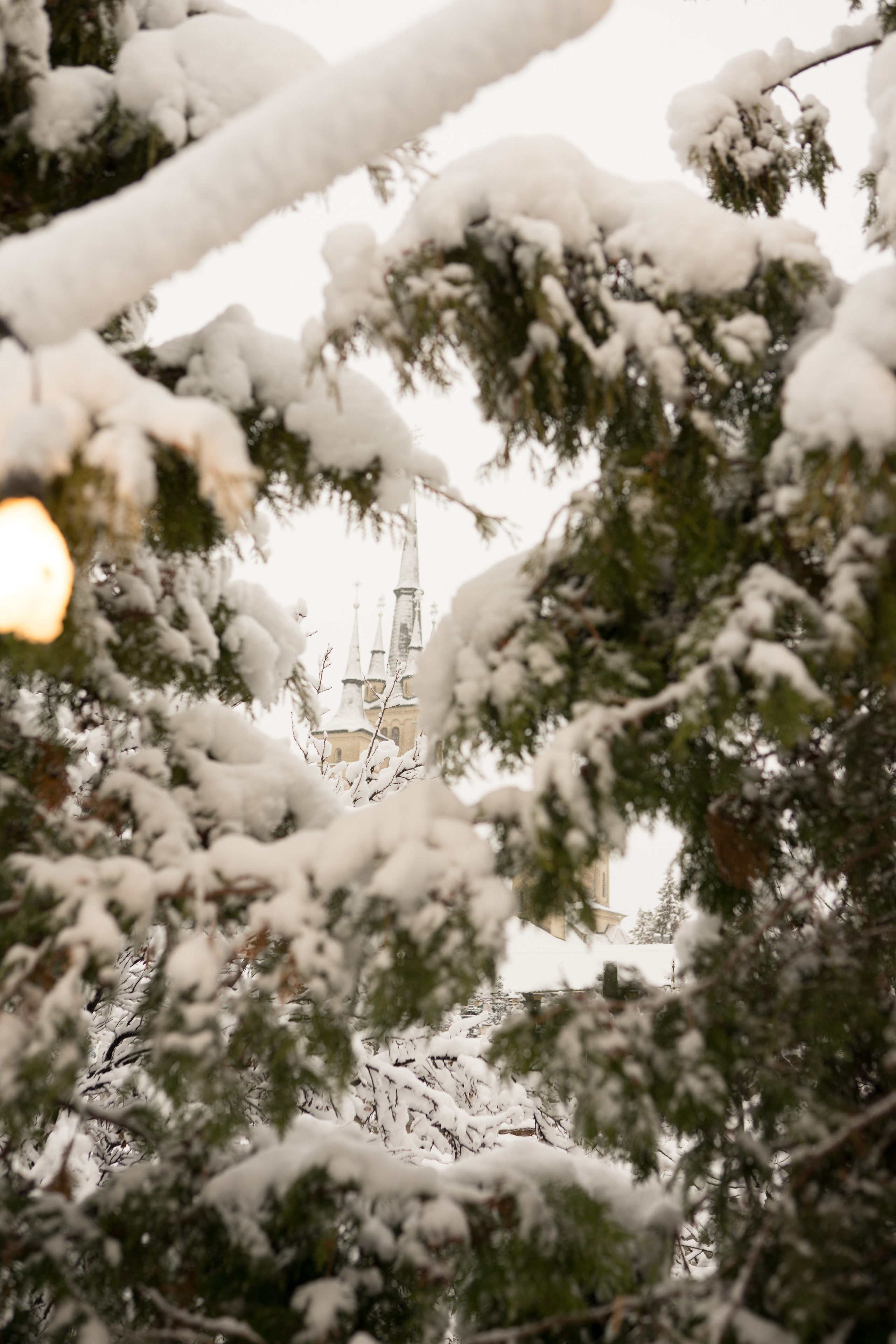 Fotografie de Eveniment Brașov: Povești Vizuale | Mădălina Beda. Madalina Beda- Artist vizual, fotograf, doula la nastere, consultant babywearing Brasov si in toata tara