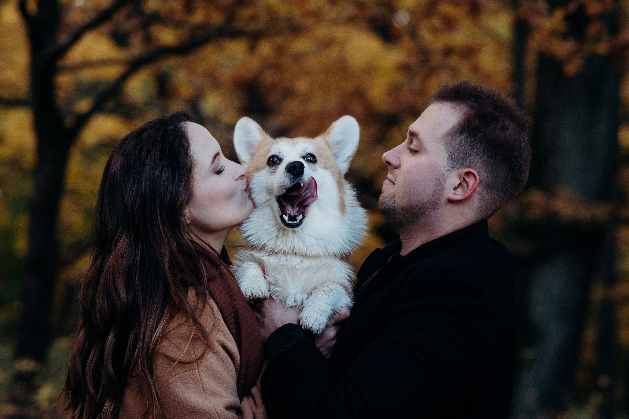 Liisa, Alexander & Marsel. Фотограф-анималист в Таллинне, Катя Лайсаар