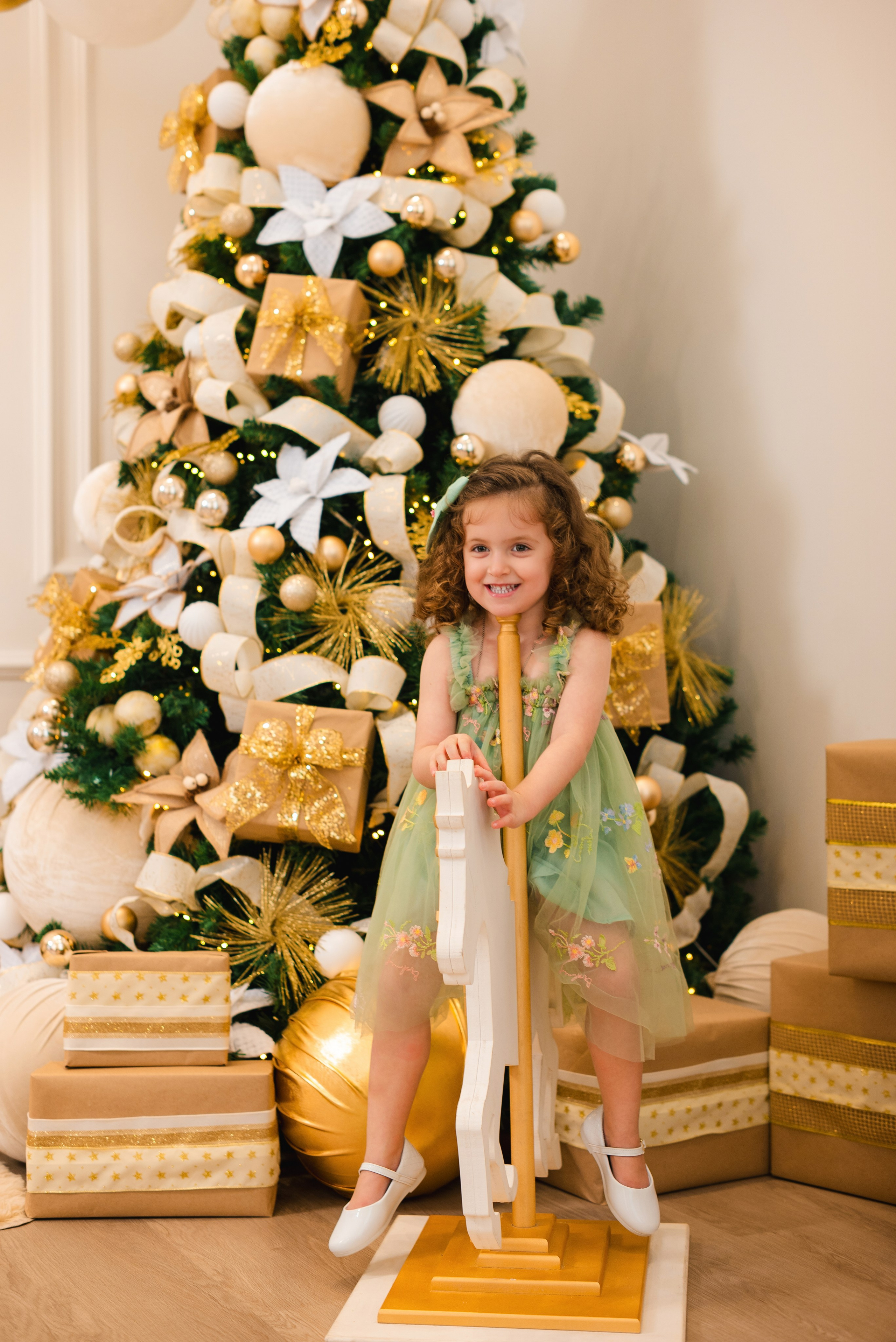 Natal Encantado. Fotografo de casamentos e famílias no Espirito Santo — Marllus Milanez