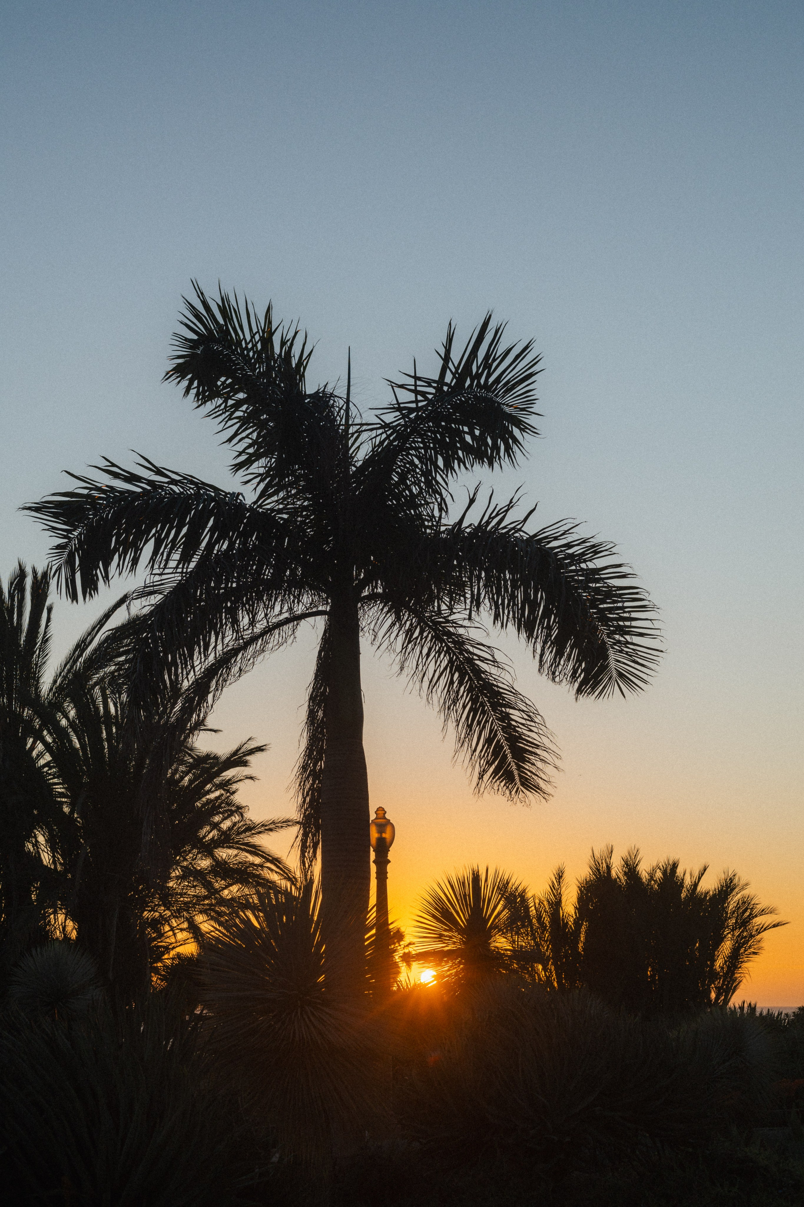 Los Angeles. Aleks.photo | Book a photoshoot