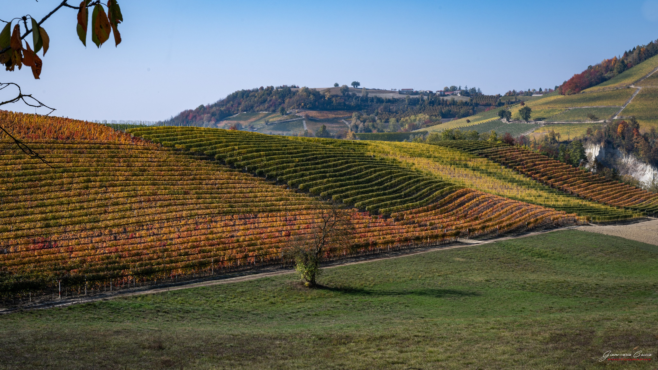Langhe. “Gianmaria Coscia fotografo per passione”