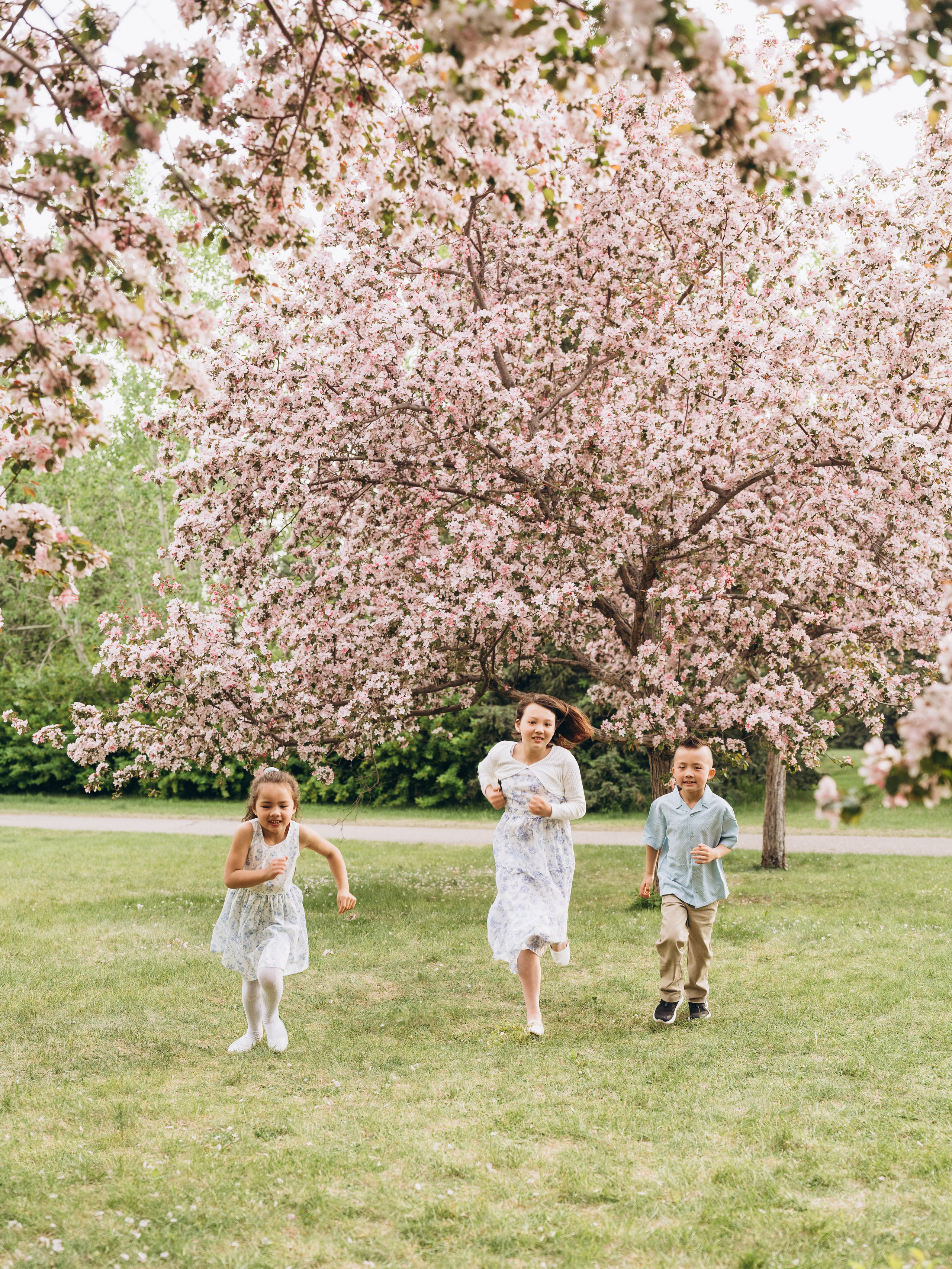 Steph & fam. Calgary Wedding & Lifestyle Photographer — Yevhen Polishchuk