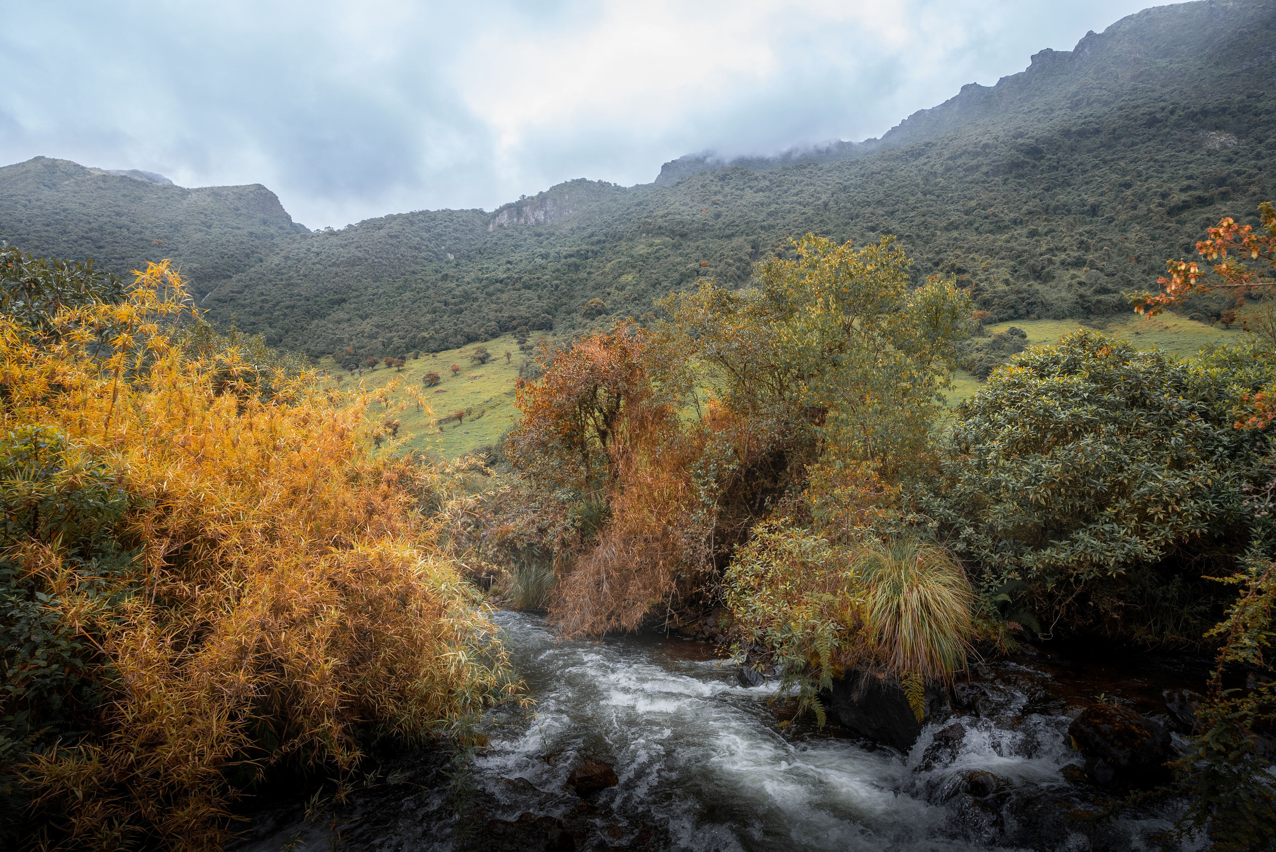 Ecuador. Beena Films