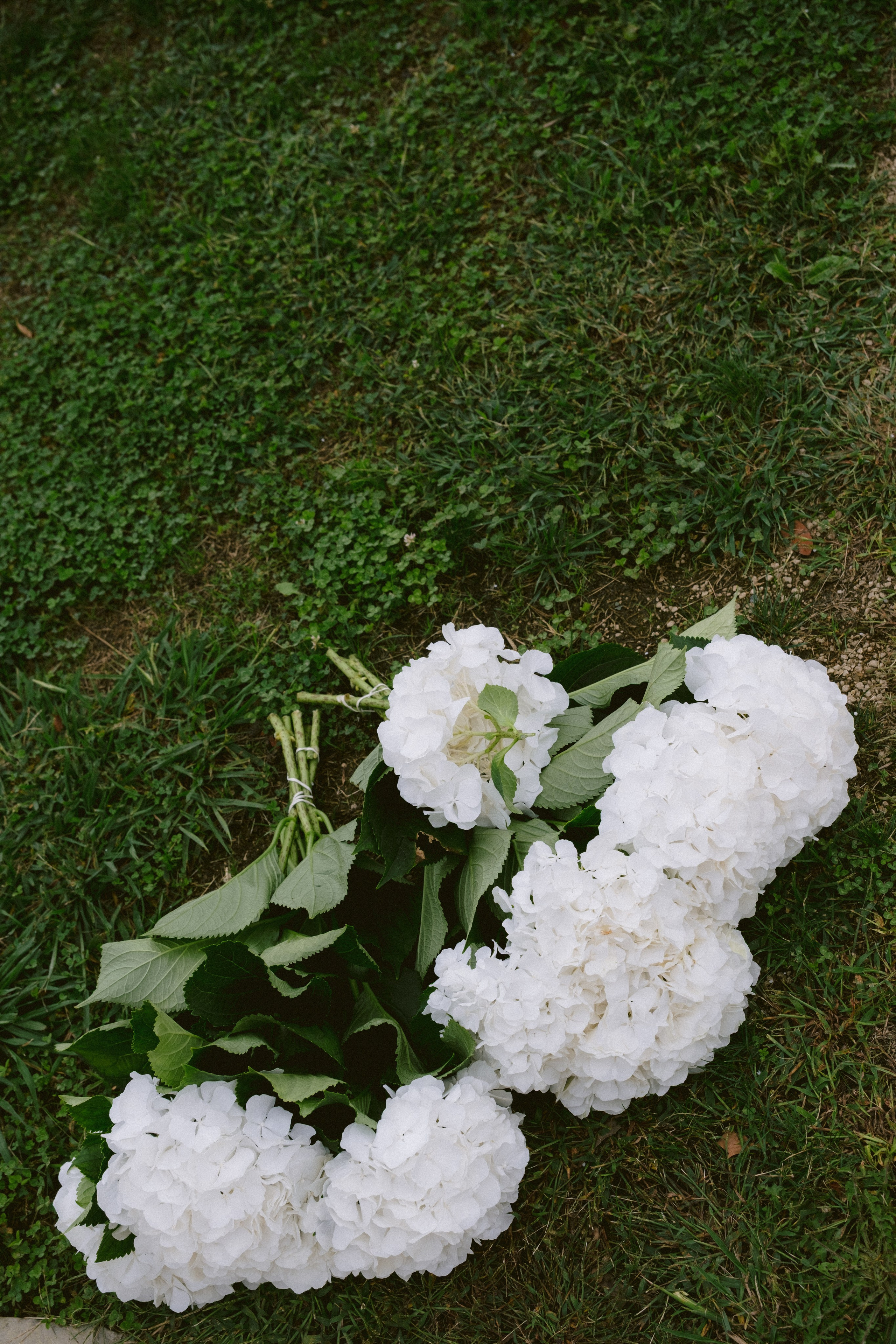 Louis and Lucie. Wedding photography — EMU Photos