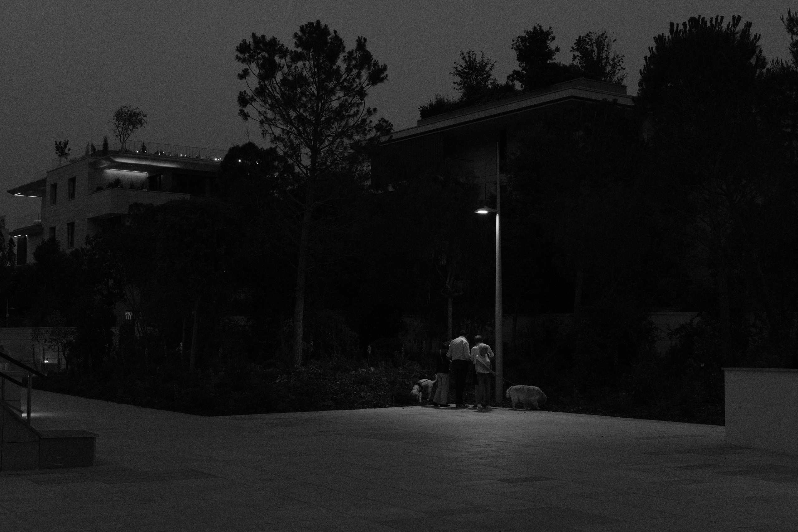 Street photography. Yulia — portrait, tourist & love story photographer in Paris