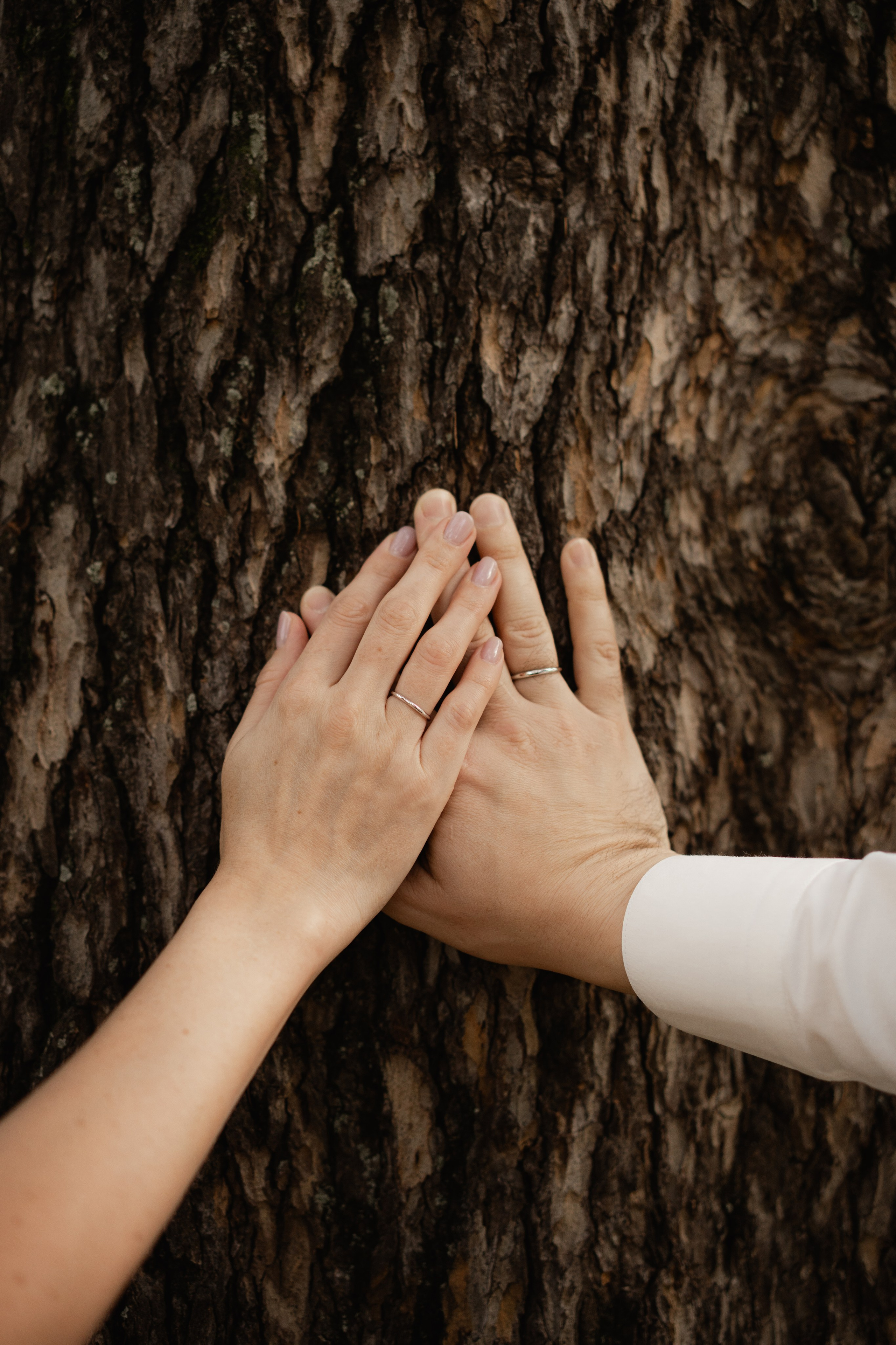 Radisson Tsinandali. Denis & Nastya. Дарья Филькова — фотограф и видеограф в Тбилиси, Грузия