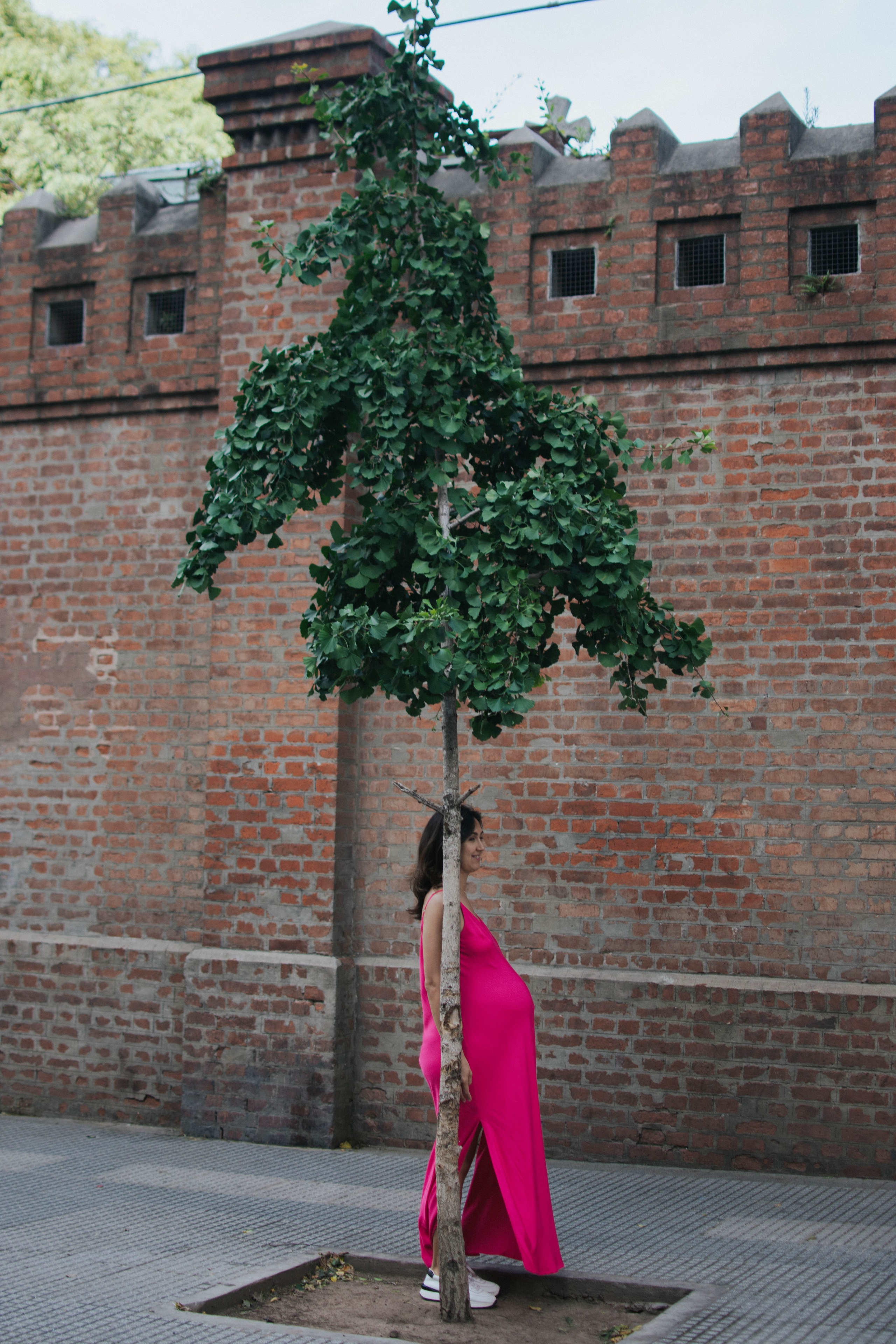 At dawn. Buenos Aires. Photography. Photographer @elmirkami in the city of Buenos Aires