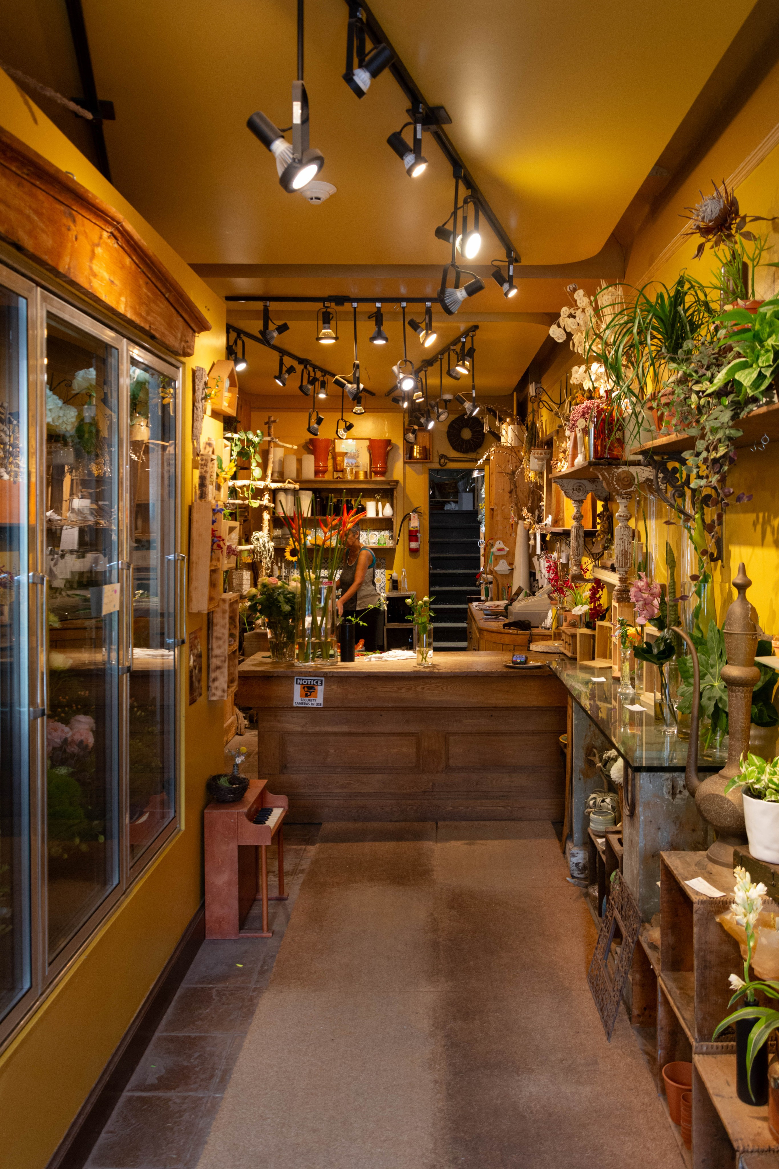 Photographer Ottawa,Branding photo shoot,Small business Photo session. Photographer Ottawa Jane Krasnopolska