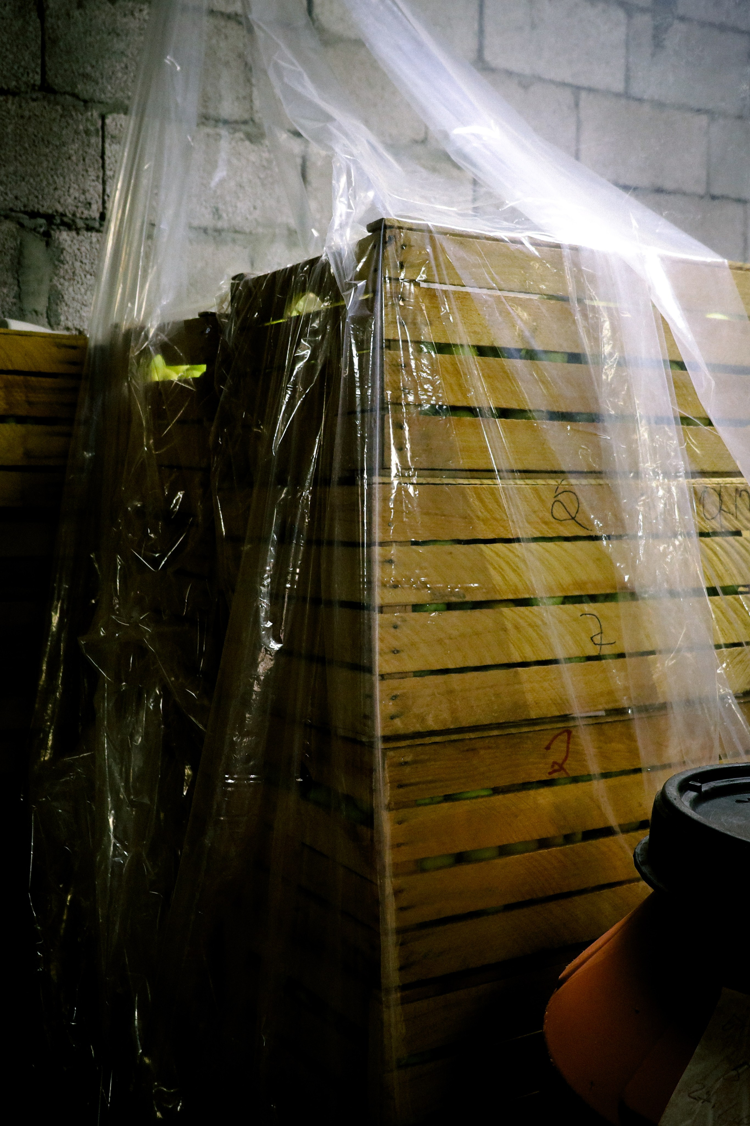 Factory reportage (hand-crafted cider). Asmikiam