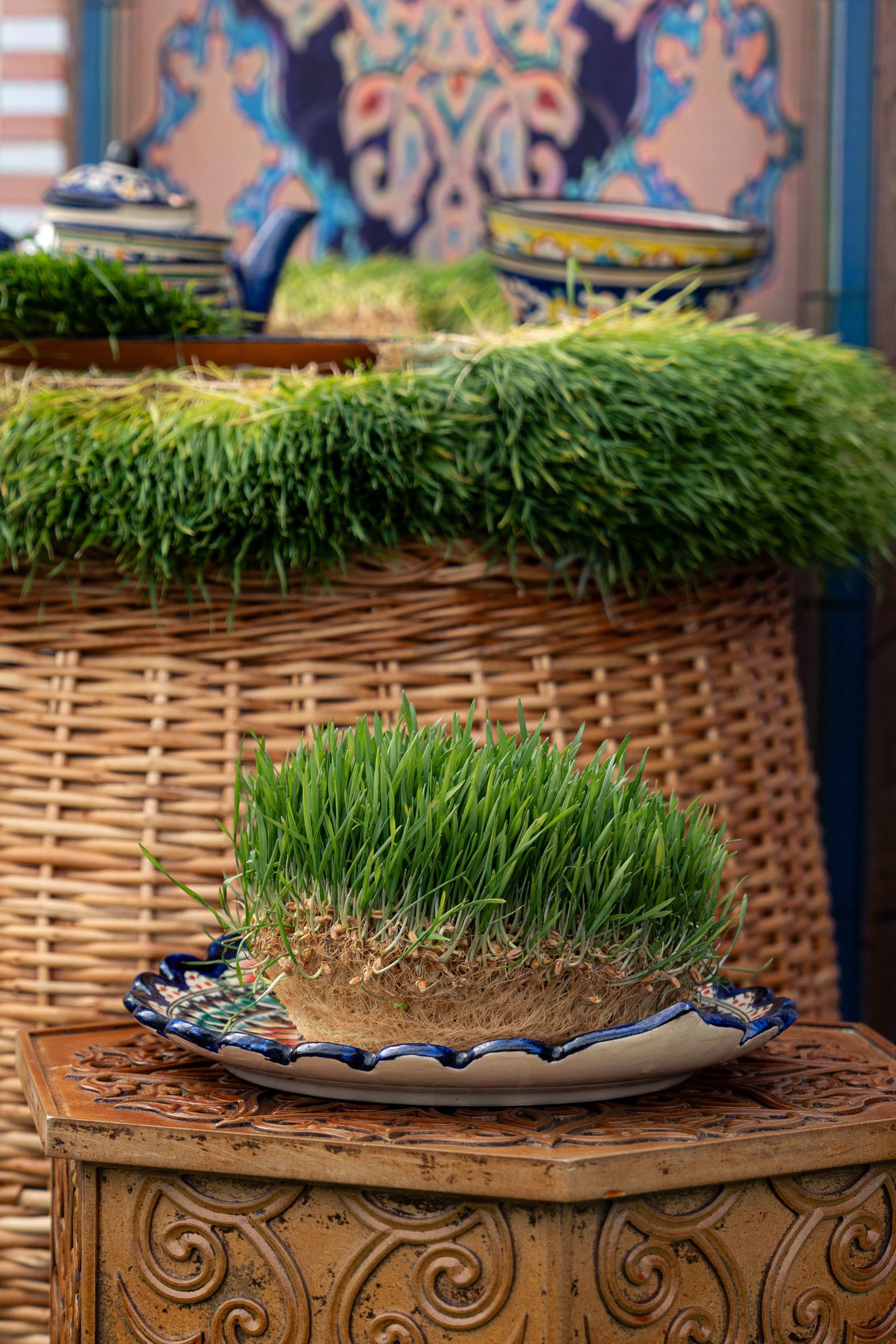 Навруз. Георгий Намазов | Фотограф в Ташкенте