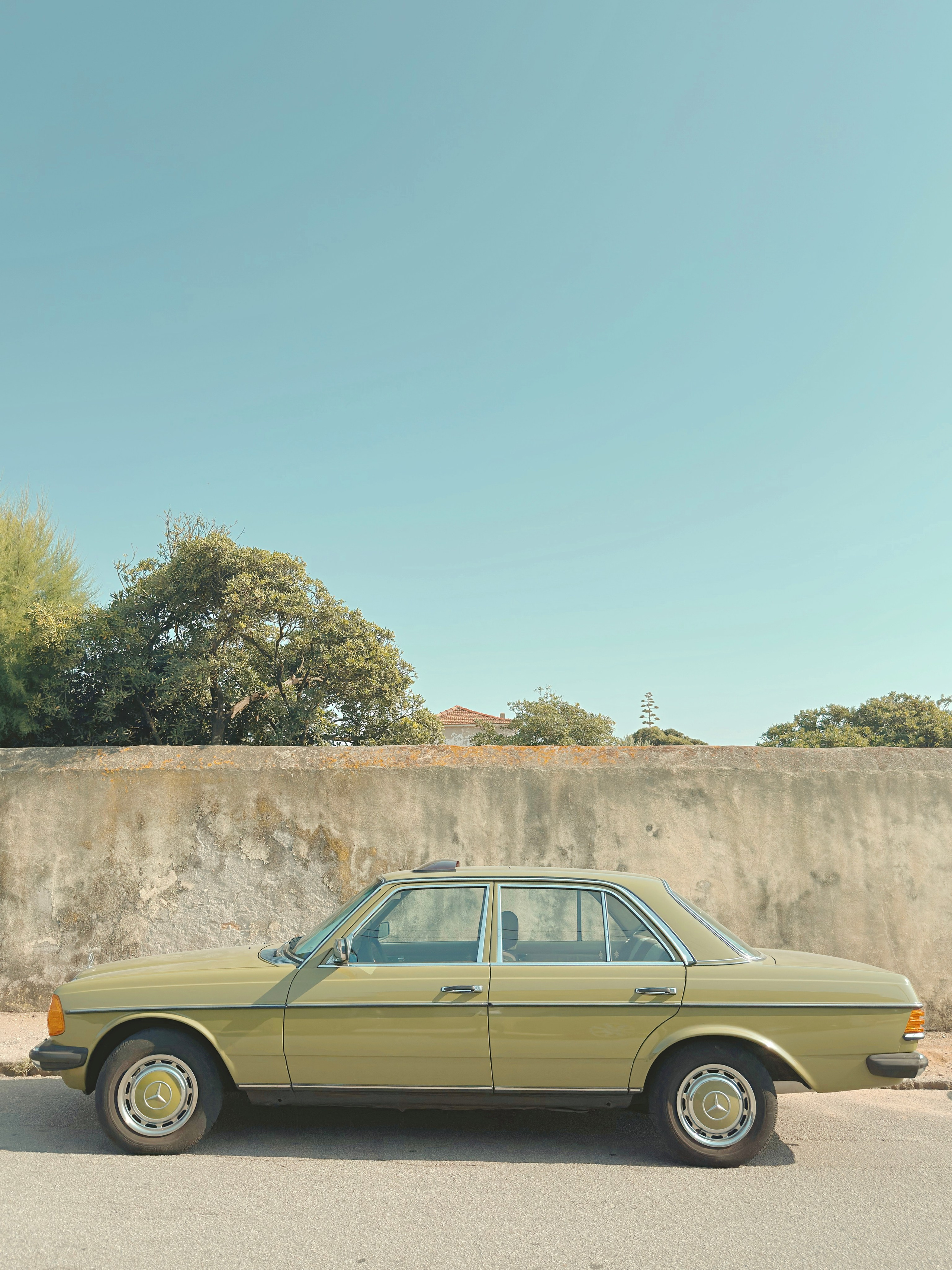 Mobilography. Artem Avanesov. Visual Content Creator