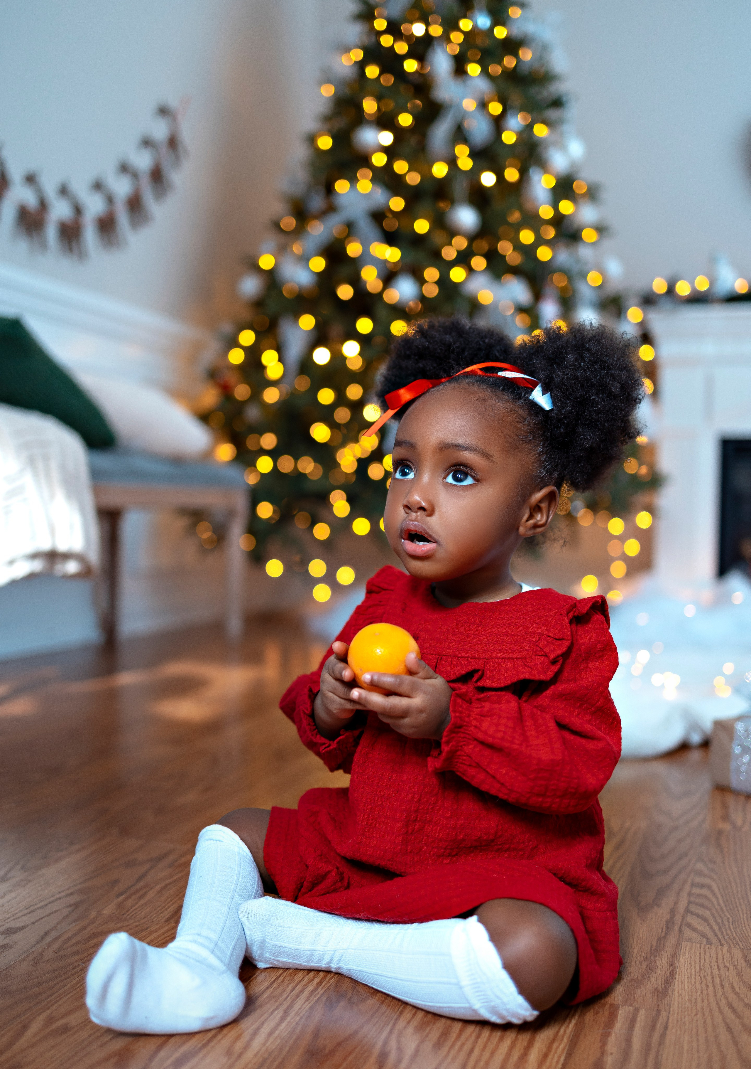 Christmas. Anaeliseevaphoto.com