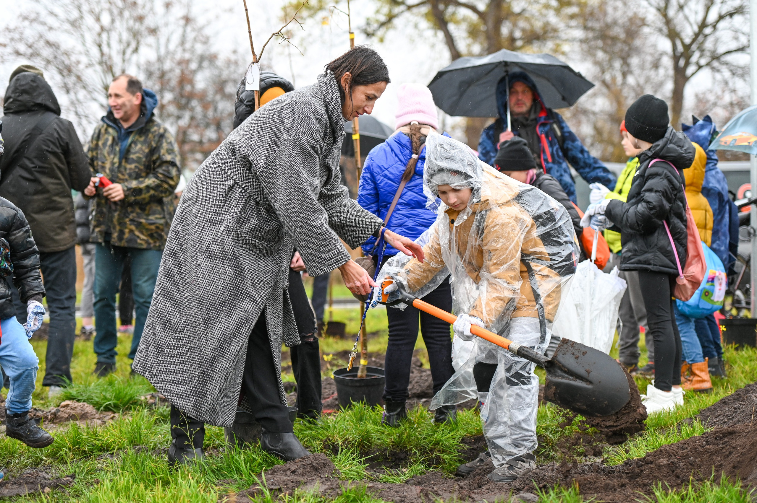 Koku stādīšana Rēzekne stacijas iela. Ritvars Pujats Emotion Photographer