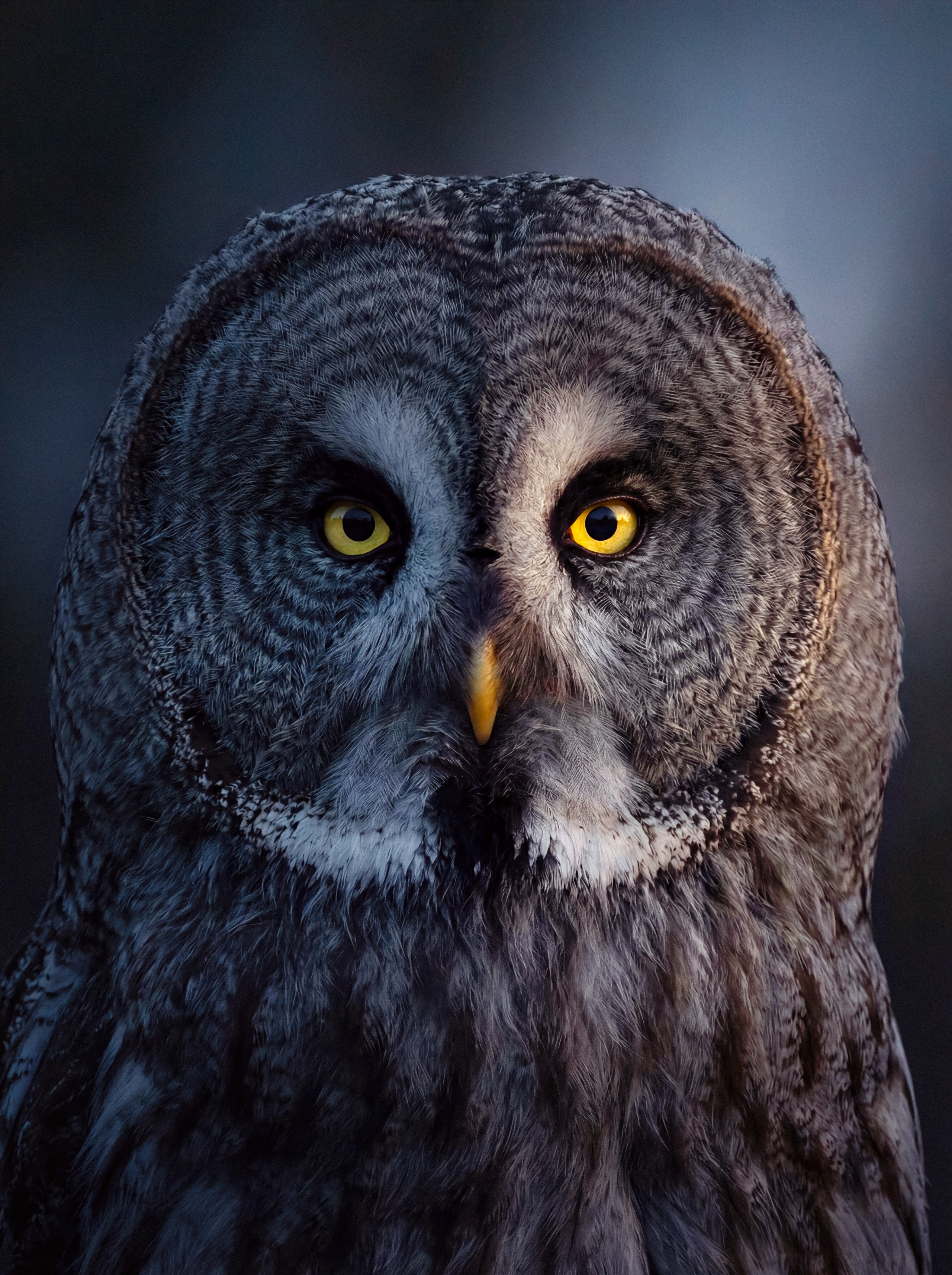 Photos of places around the World