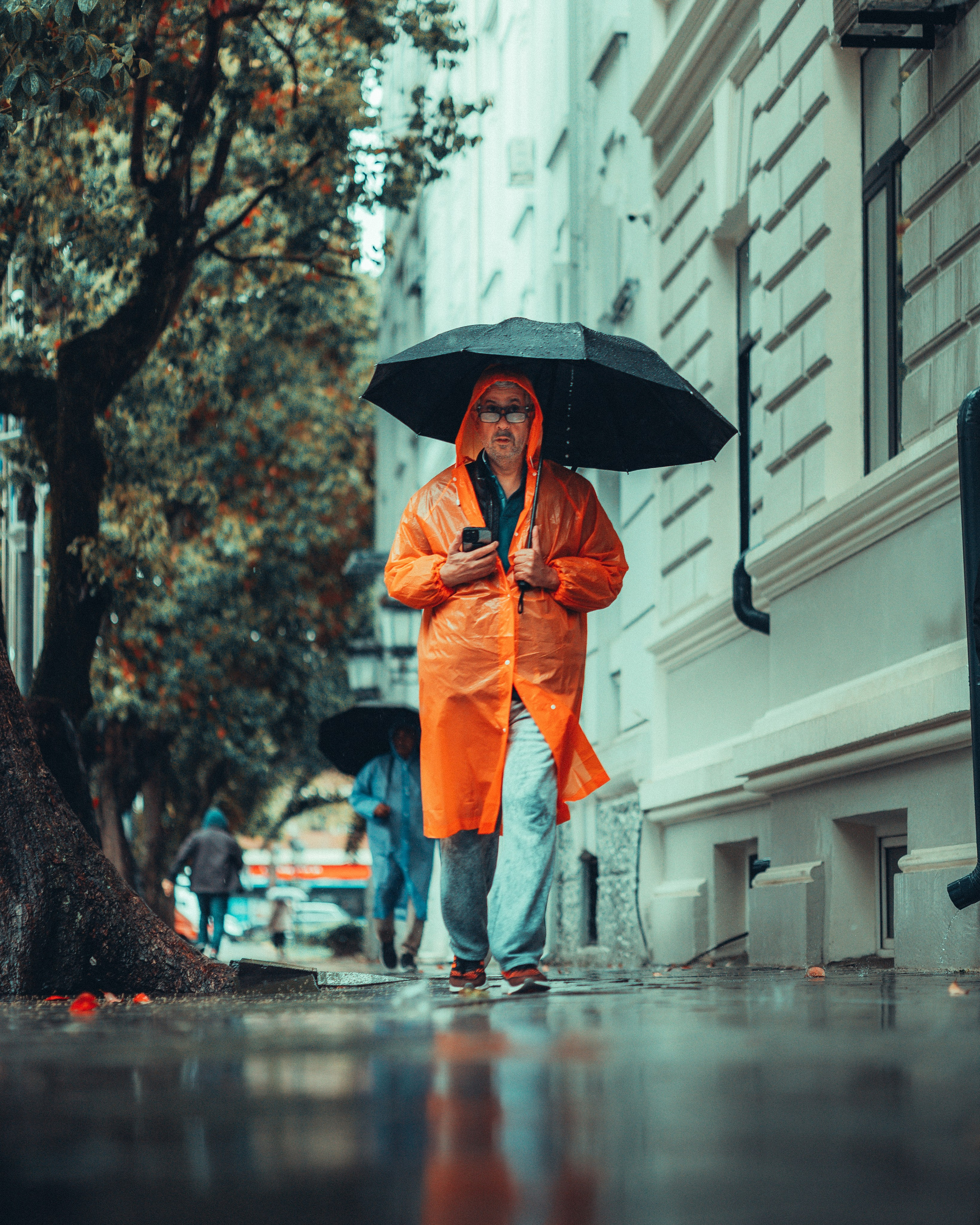 B A T U M I 2 0 2 5. Bspander