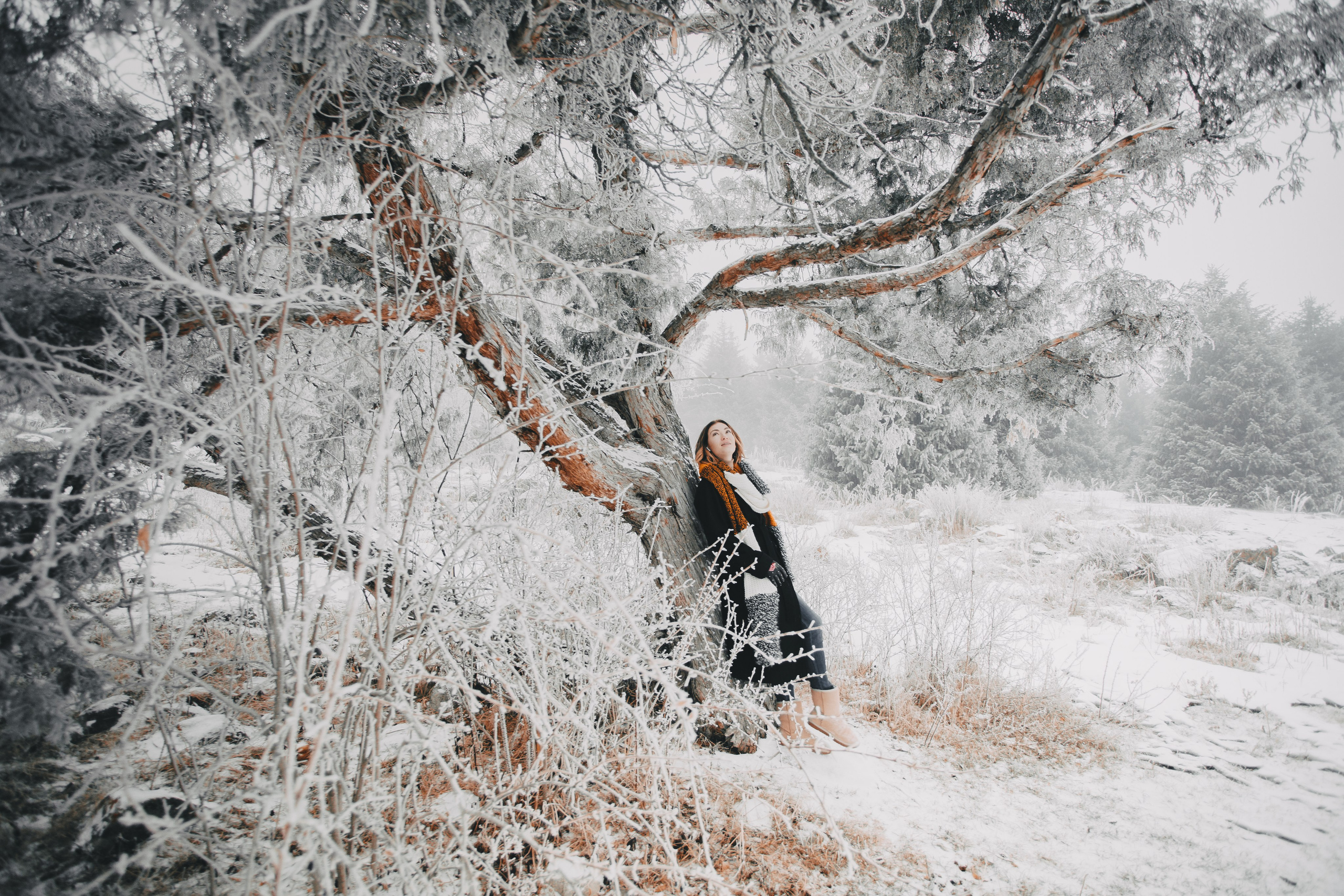 Зимнее. Валерия Вартанова. Фотограф