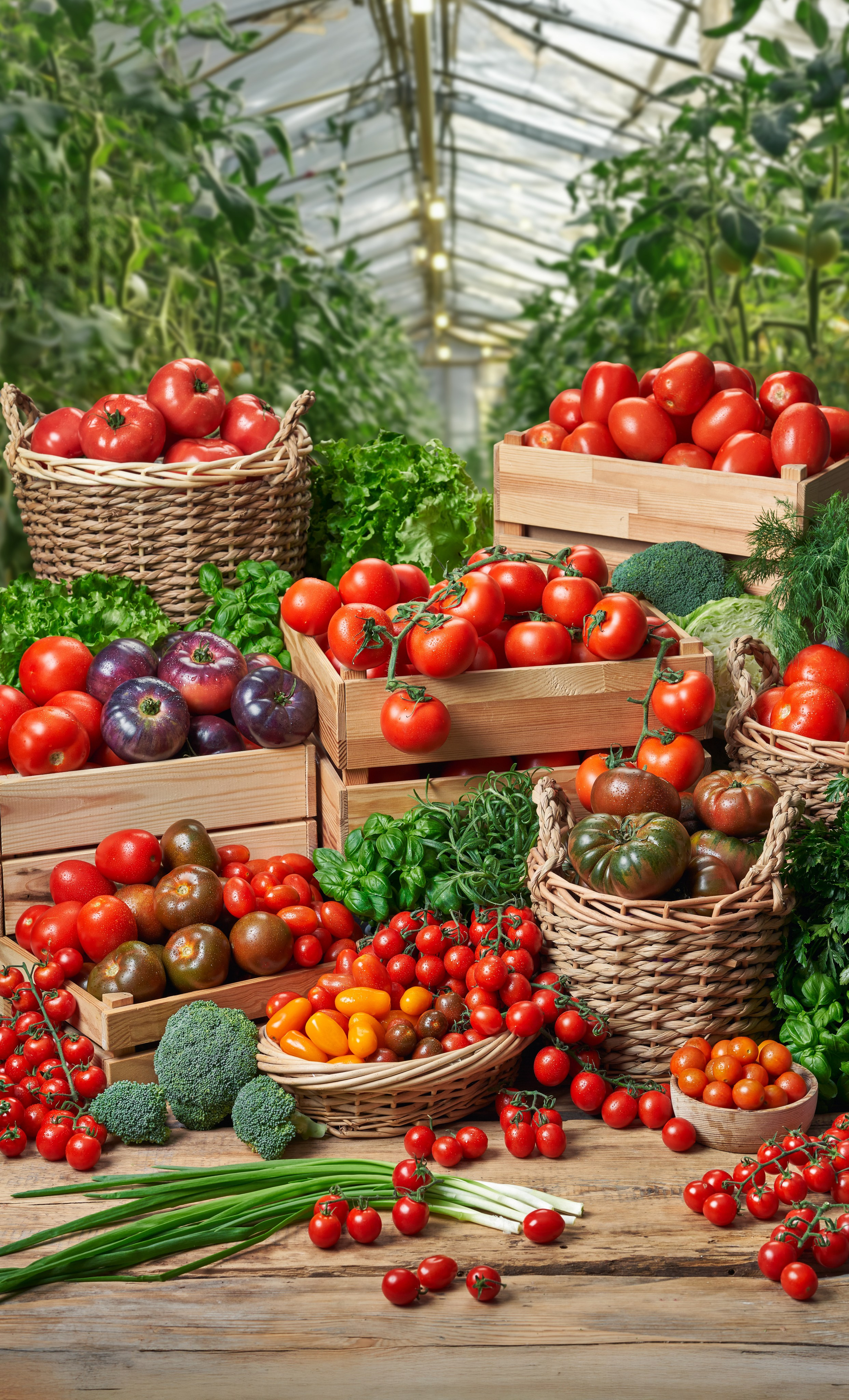 Ēdienu fotogrāfs. Ēdienu fotogrāfs