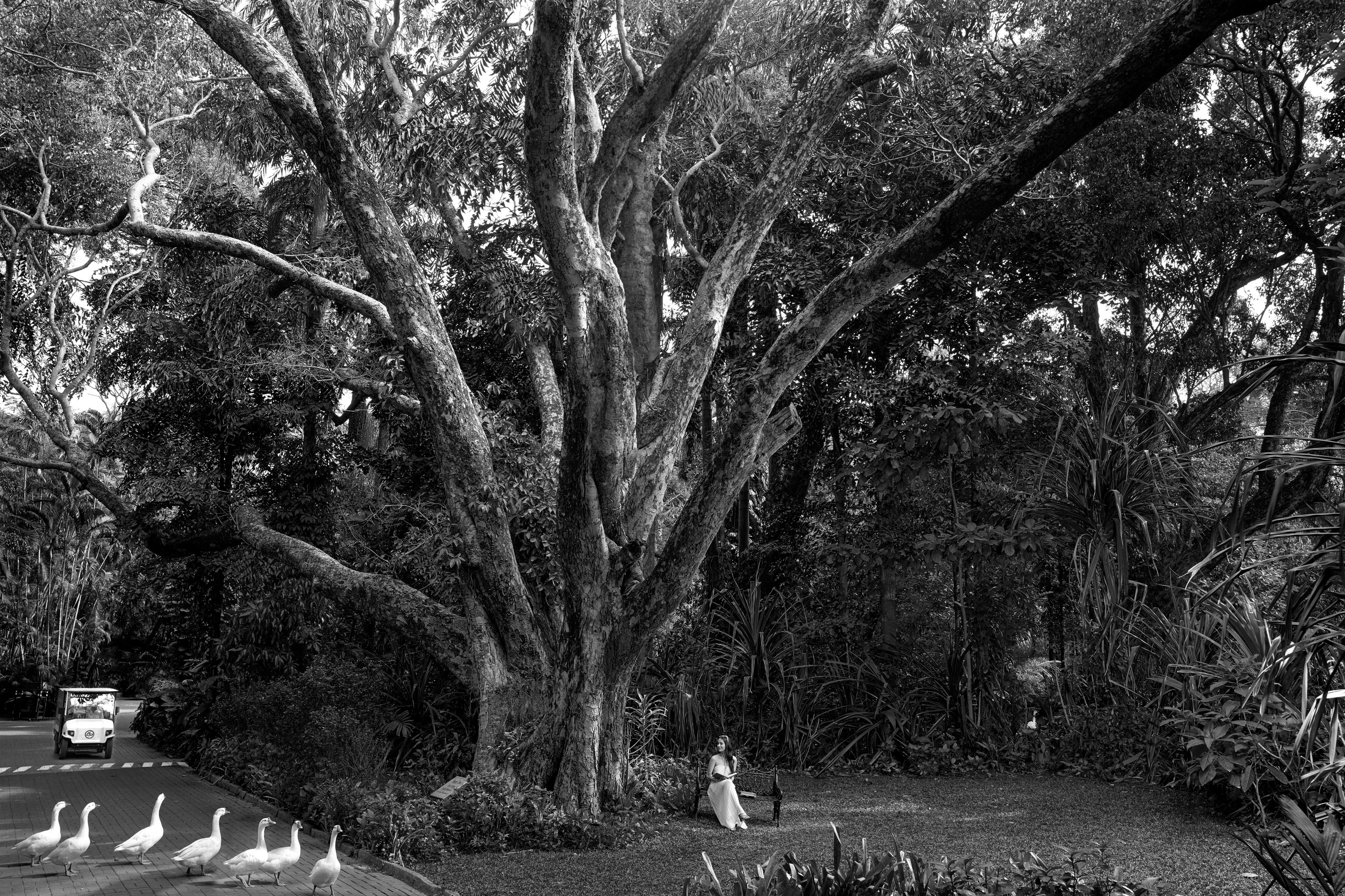 Black and White Photography. Mohit Holani | Director