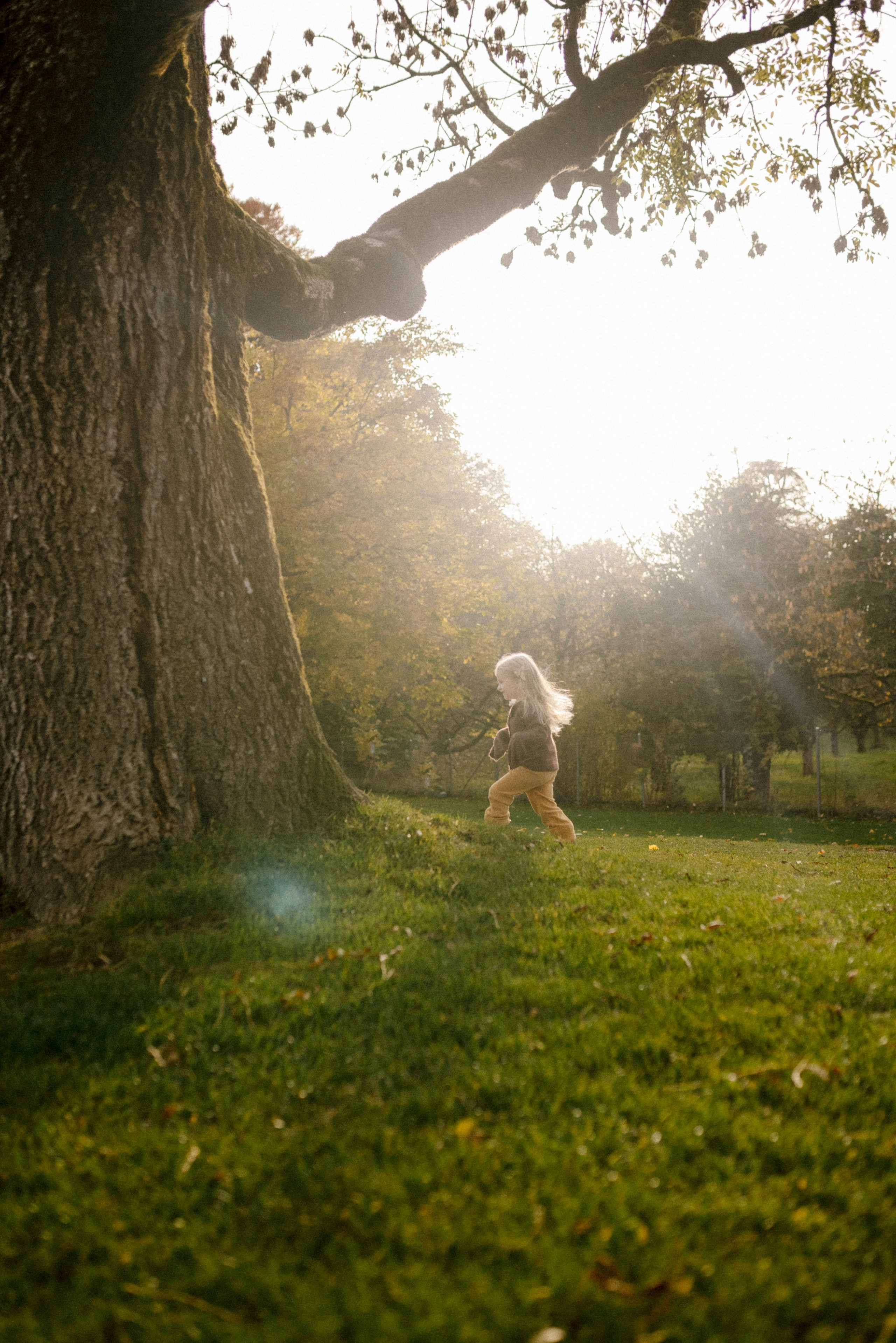 Under the Tree. Polina Sobol — family & documentary photographer in Bern. Outdoor & urban photo sessions for families, kids and couples