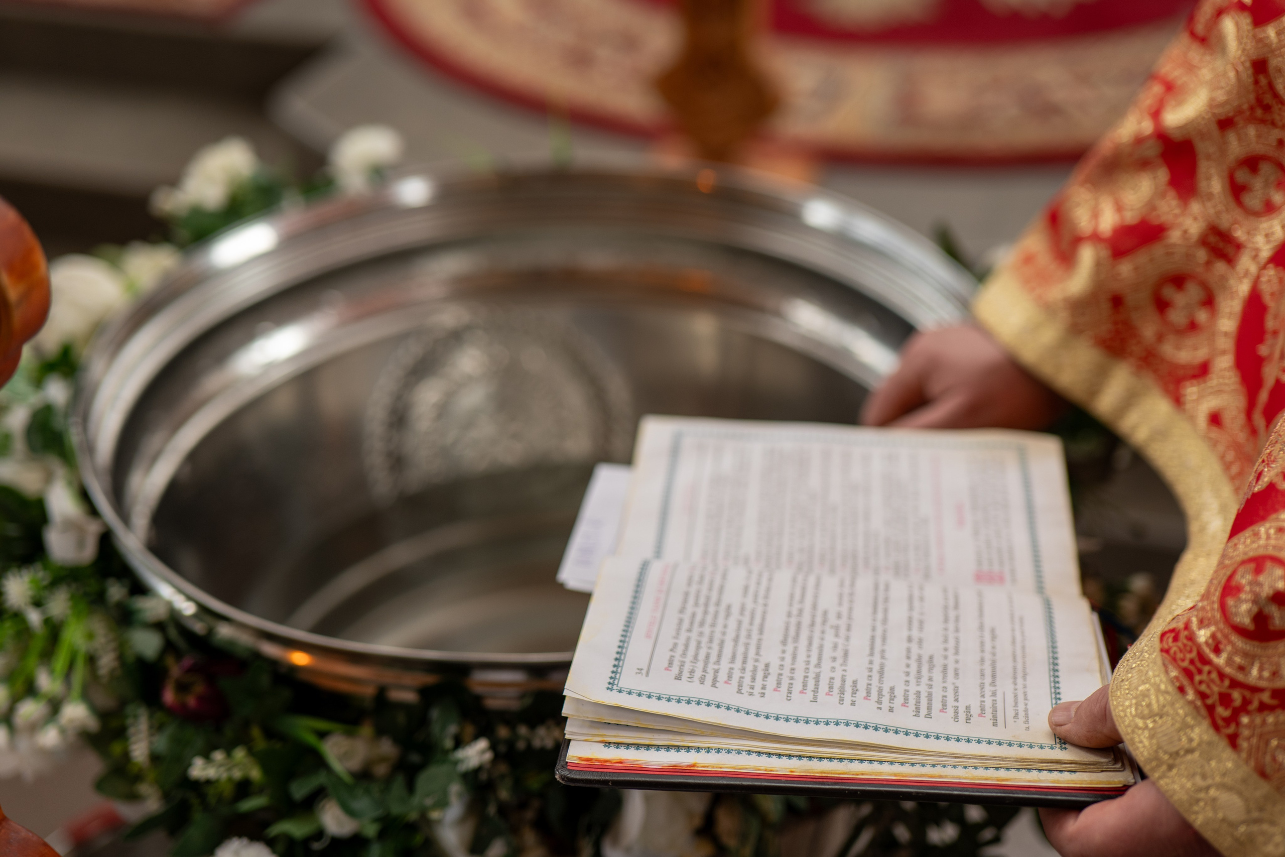 Radmir. Fotograful și Cameramanul familiei dvs în Franța Paul Photographer