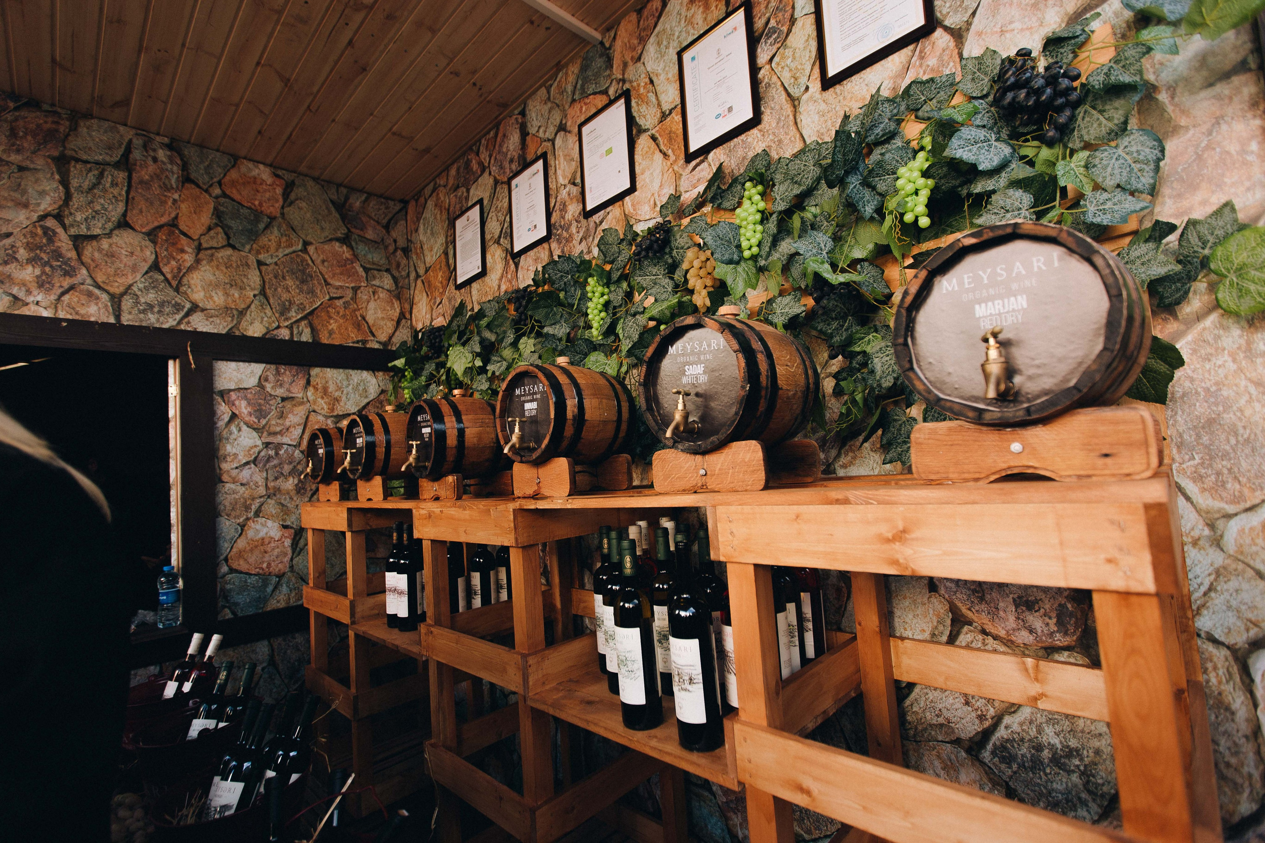 MEYSARI WINE FESTIVAL. Wedding&Event photographer Ismail Rzayev in Baku