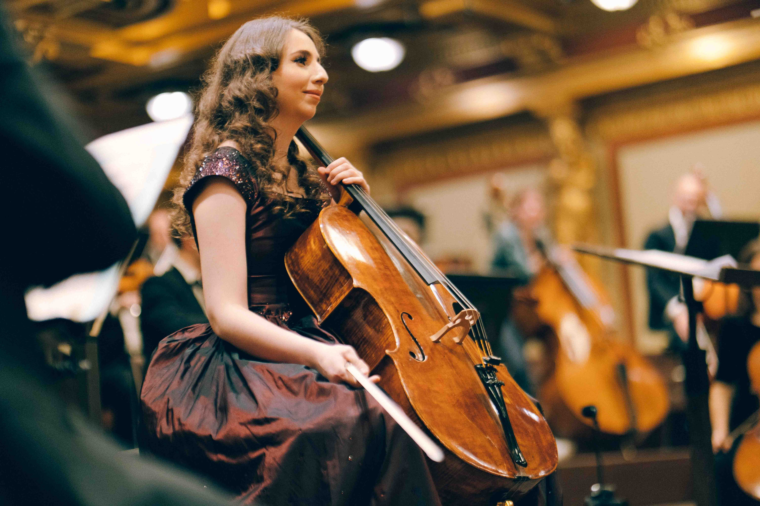 MUSIKVEREIN (VIENNA). Wedding&Event photographer Ismail Rzayev in Baku