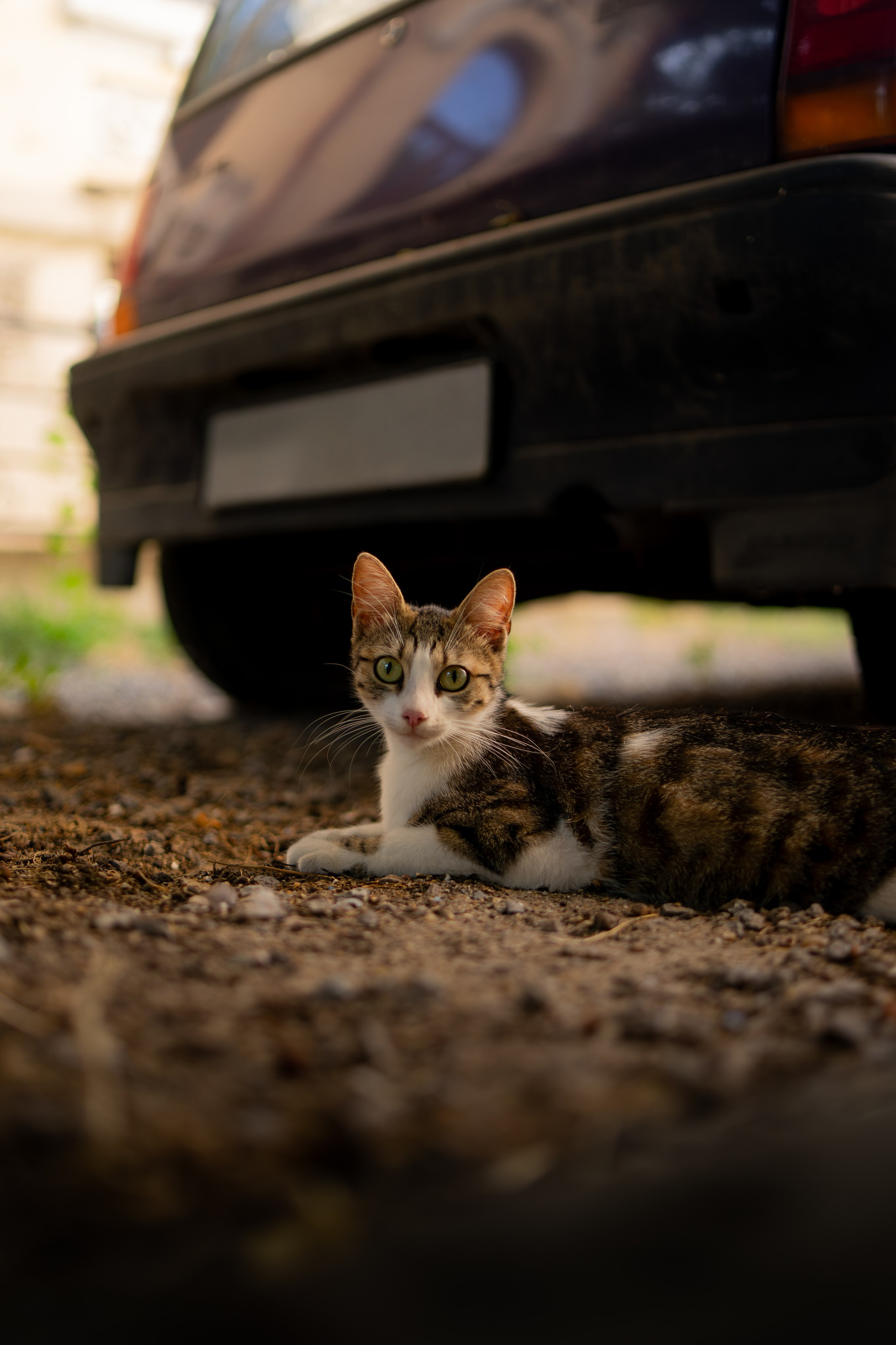 Portrait & Lifestyle