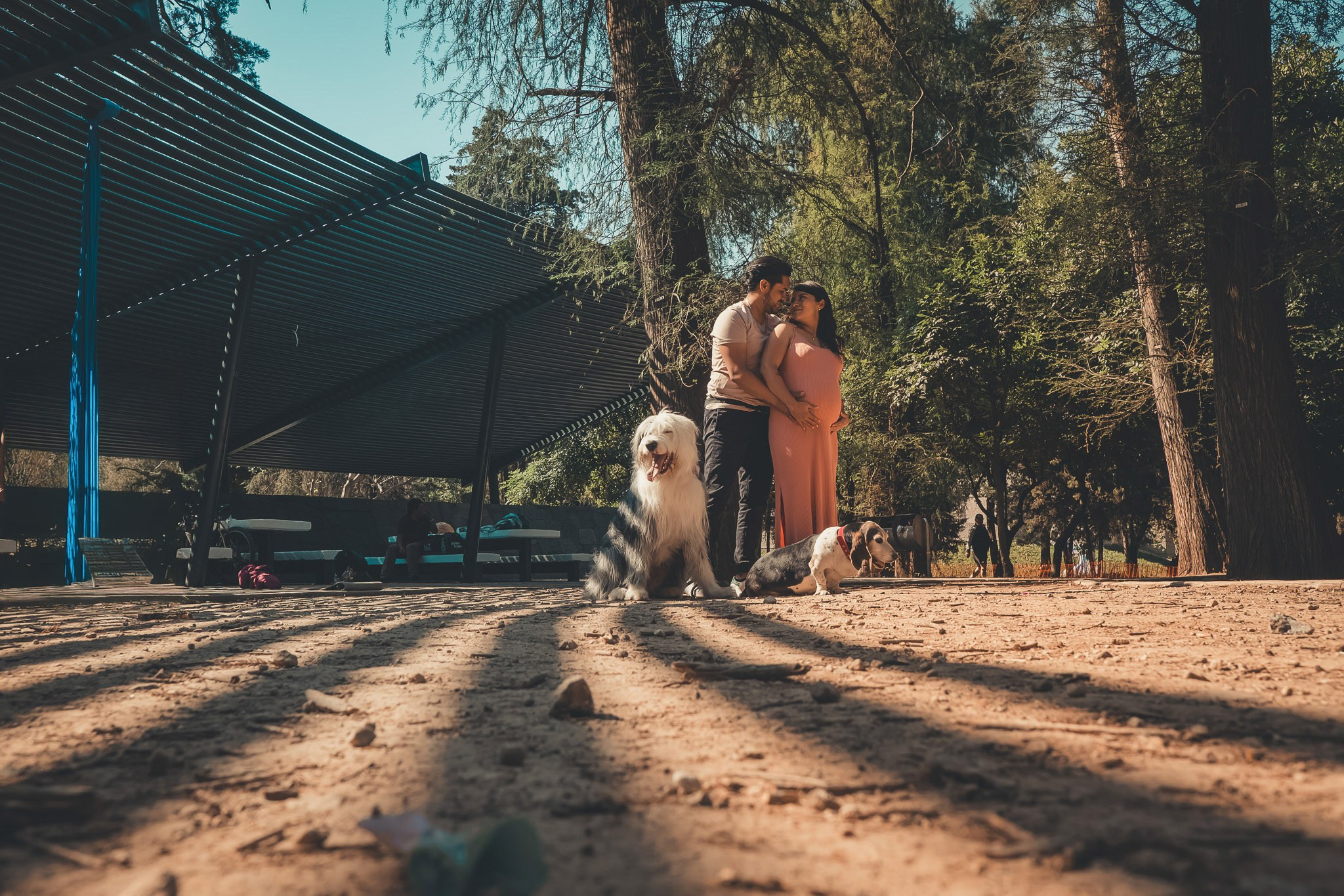 Alejandro. Wedding and family photographer in Mexico City