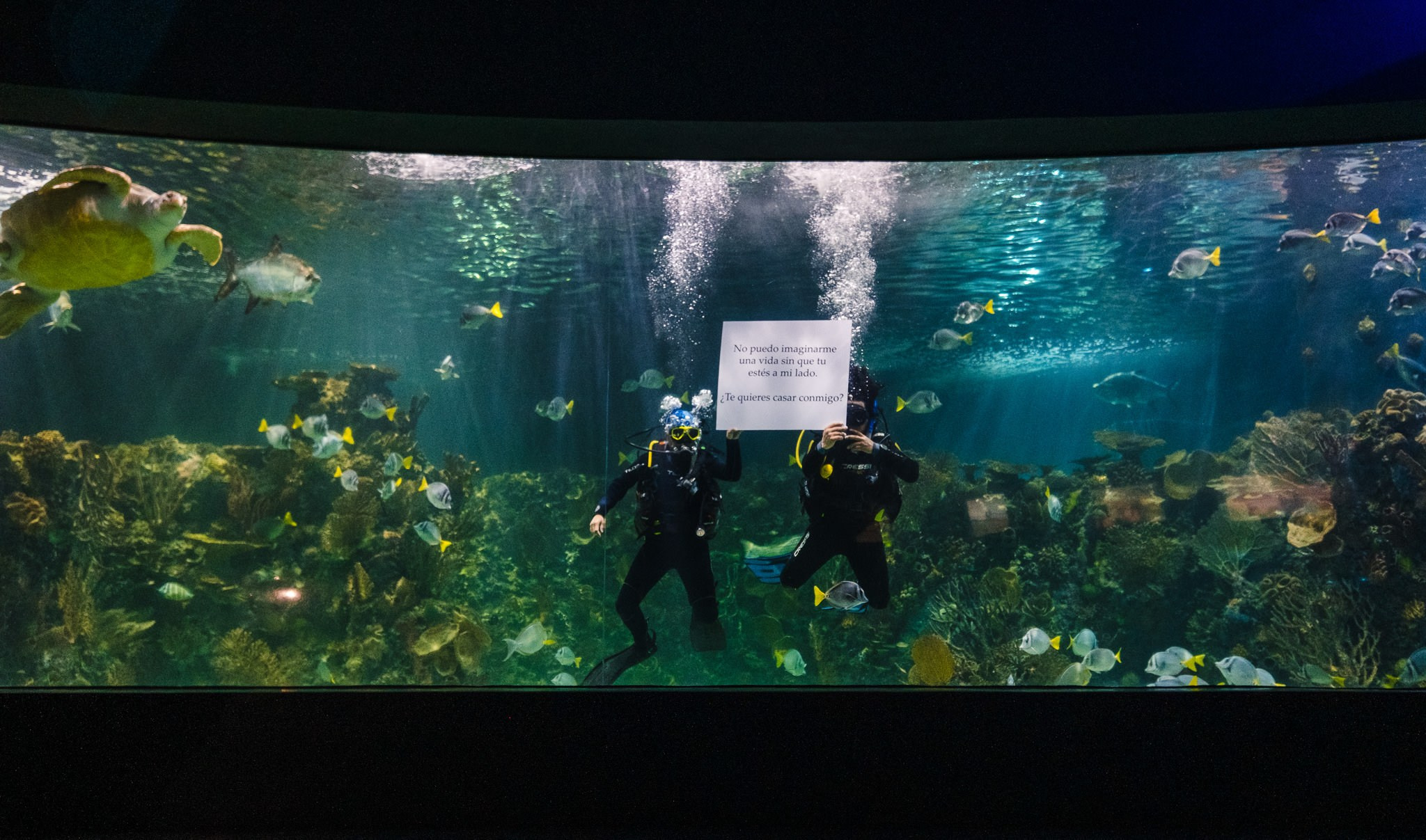 Ricardo & Bere. Wedding and family photographer in Mexico City