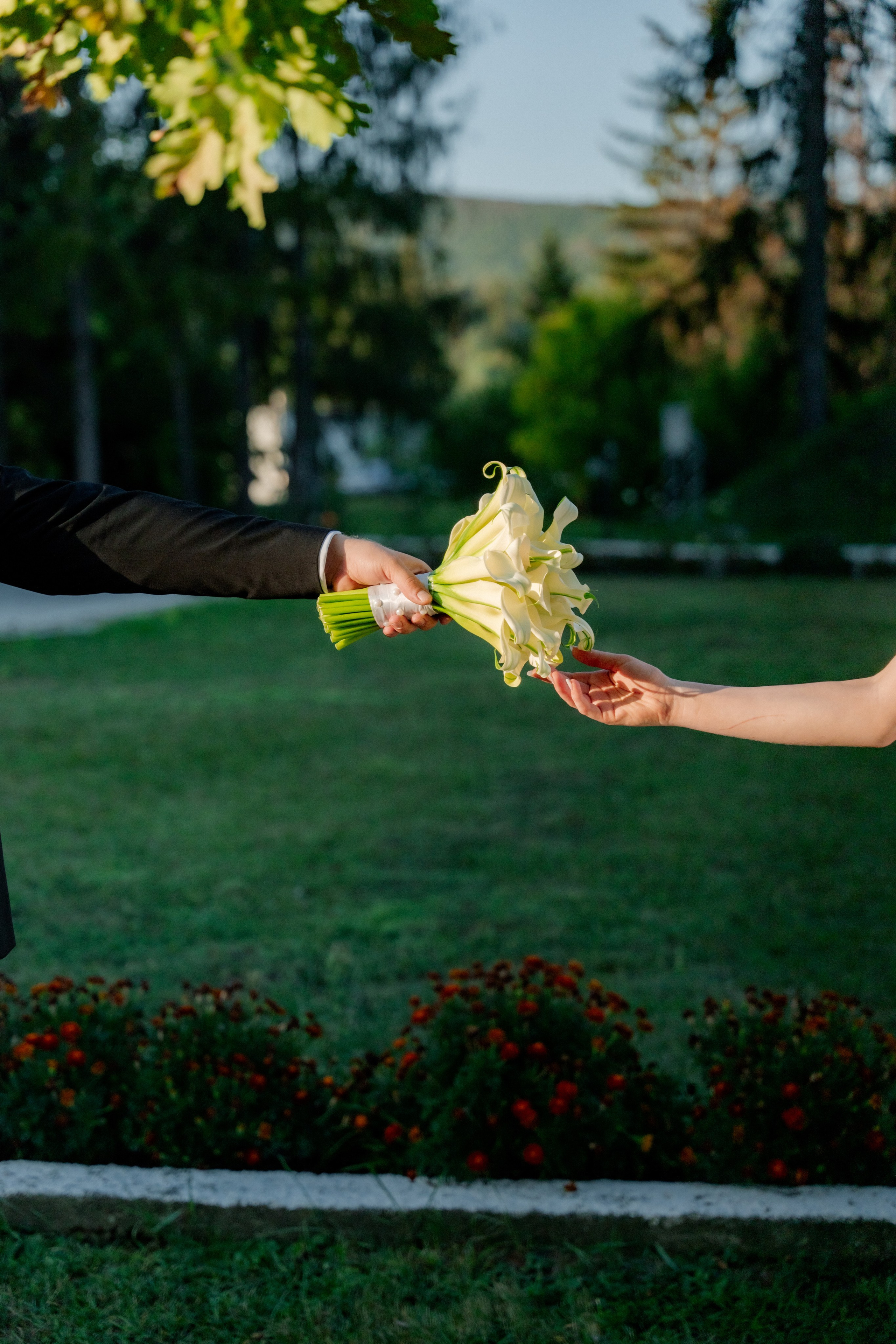 Ana-Maria & Raul. Dragosbaciuartphotographer